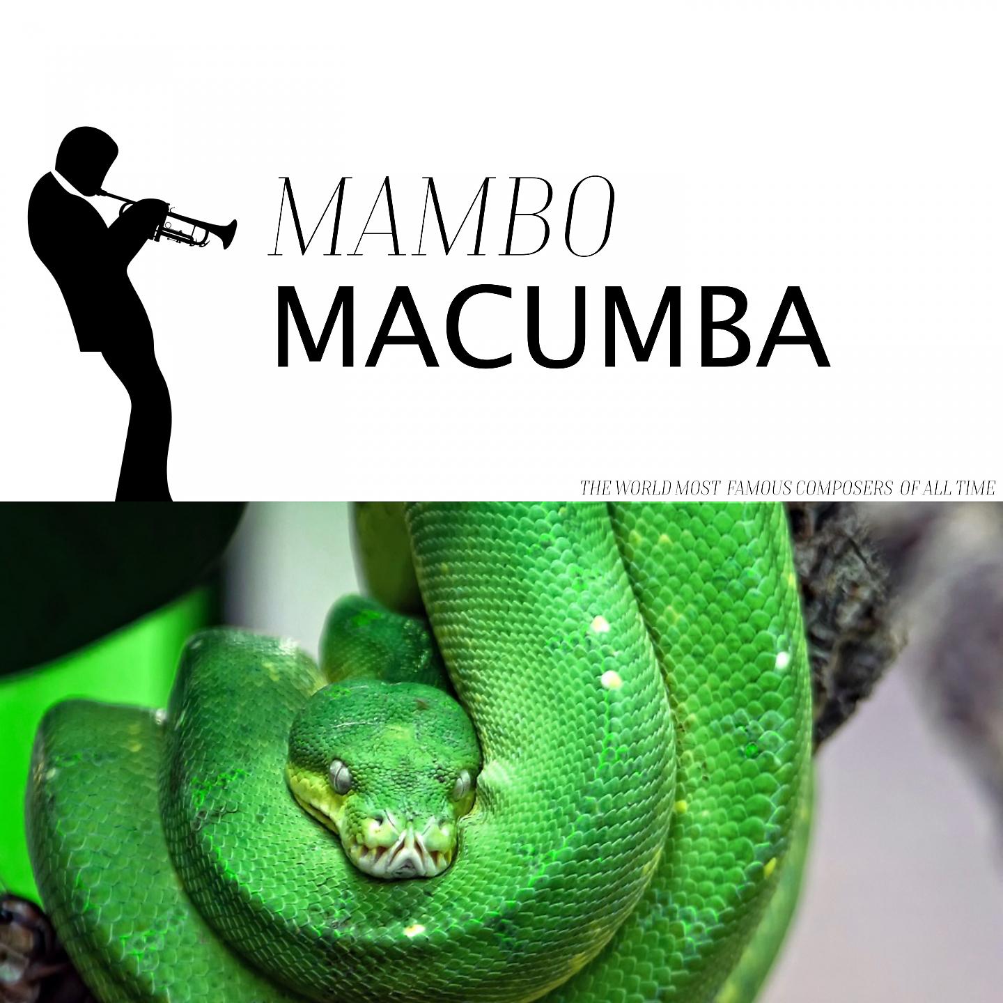 Постер альбома Caj Tjader Mambu Macumba