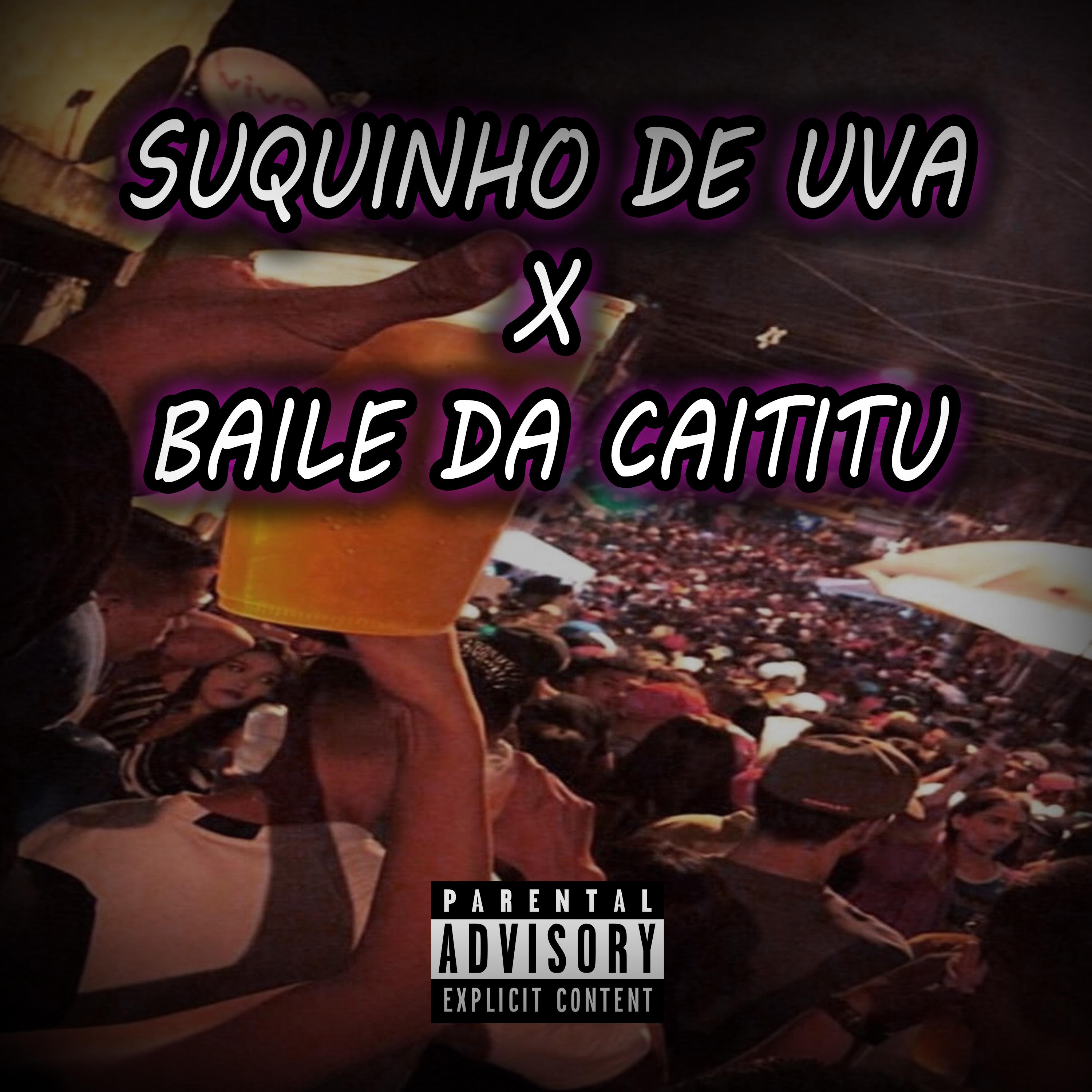 Постер альбома Suquinho de Uva X Baile da Caititu