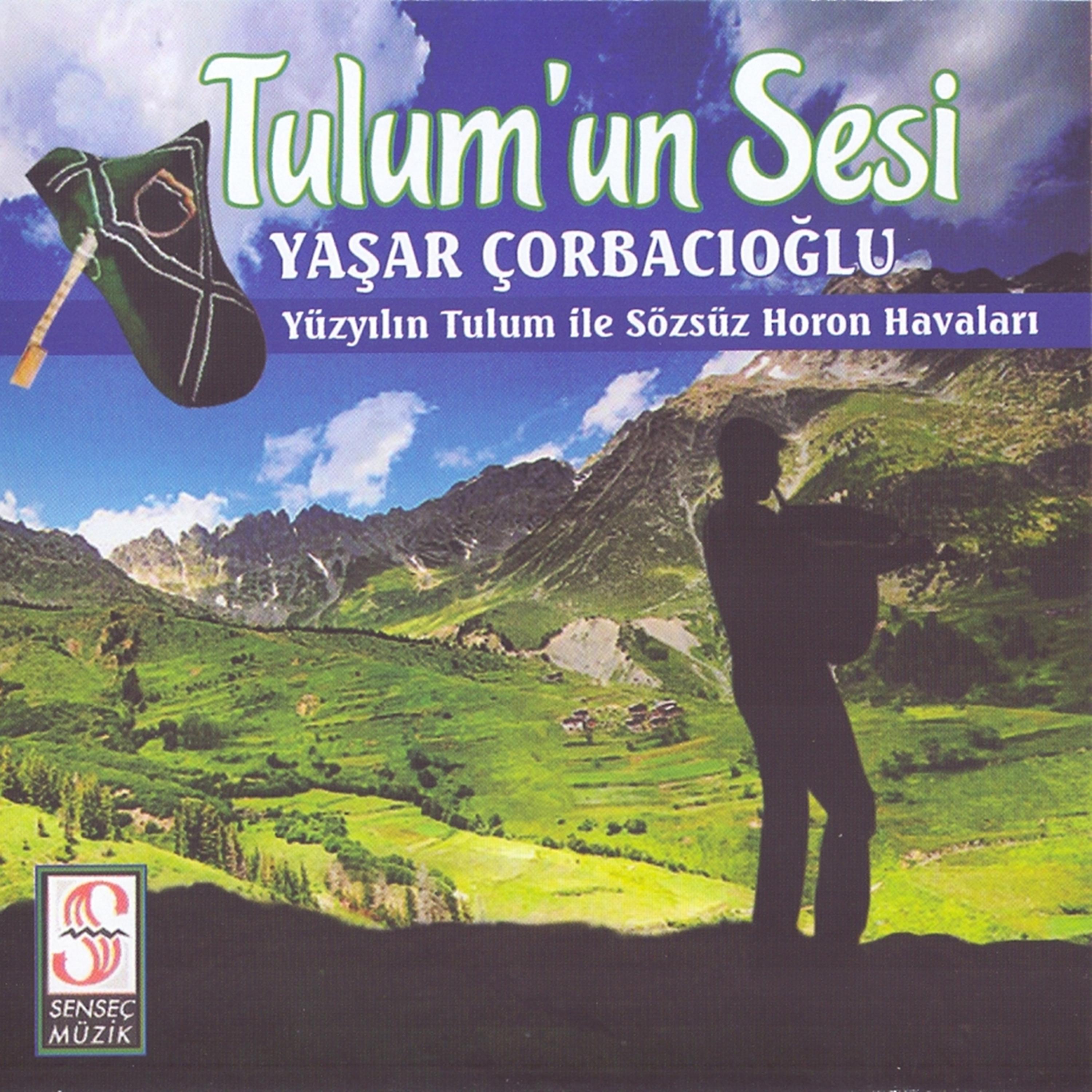 Постер альбома Tulum'un Sesi