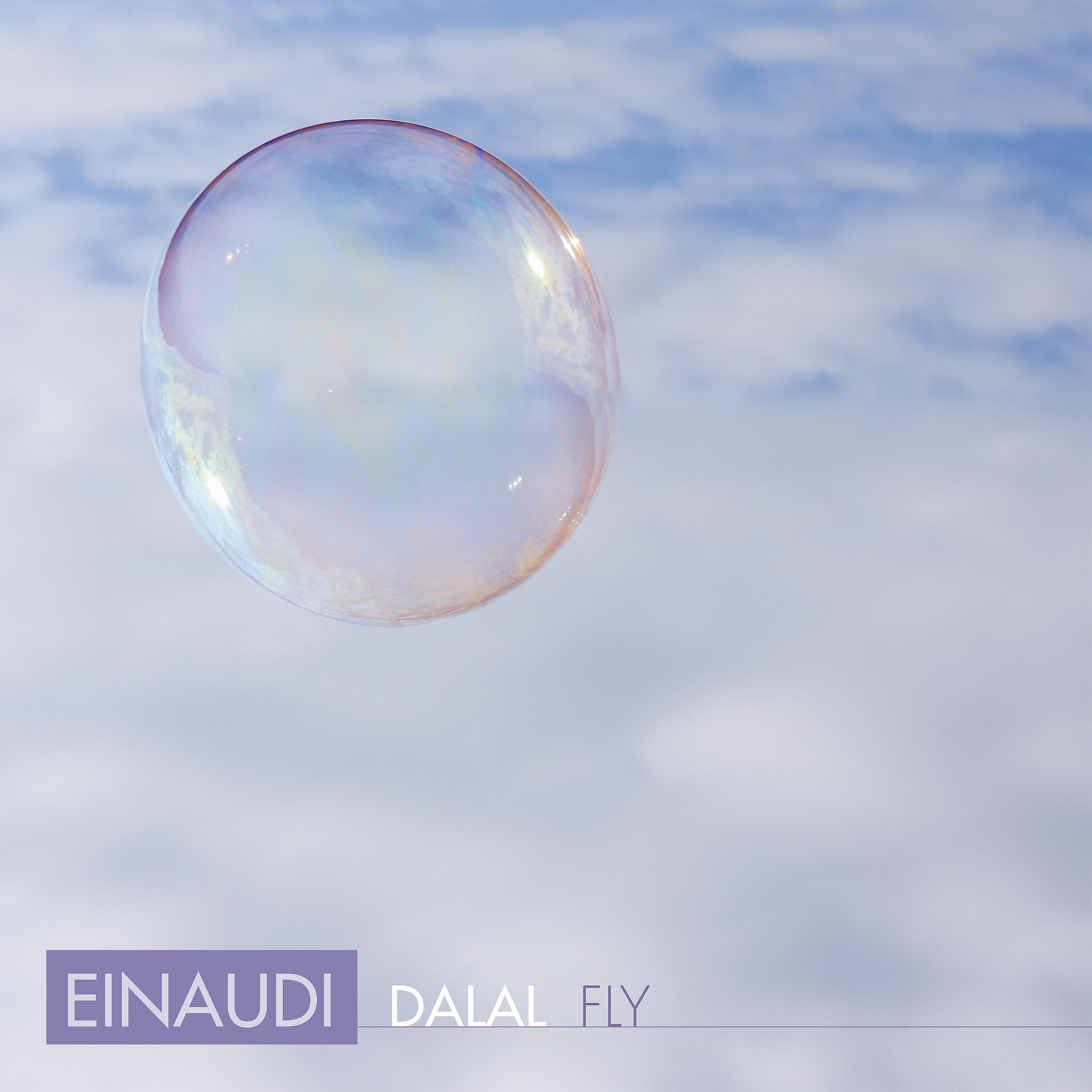 Постер альбома Einaudi: Fly