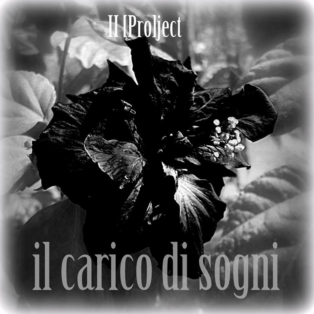 Постер альбома Il Carico Di Sogni