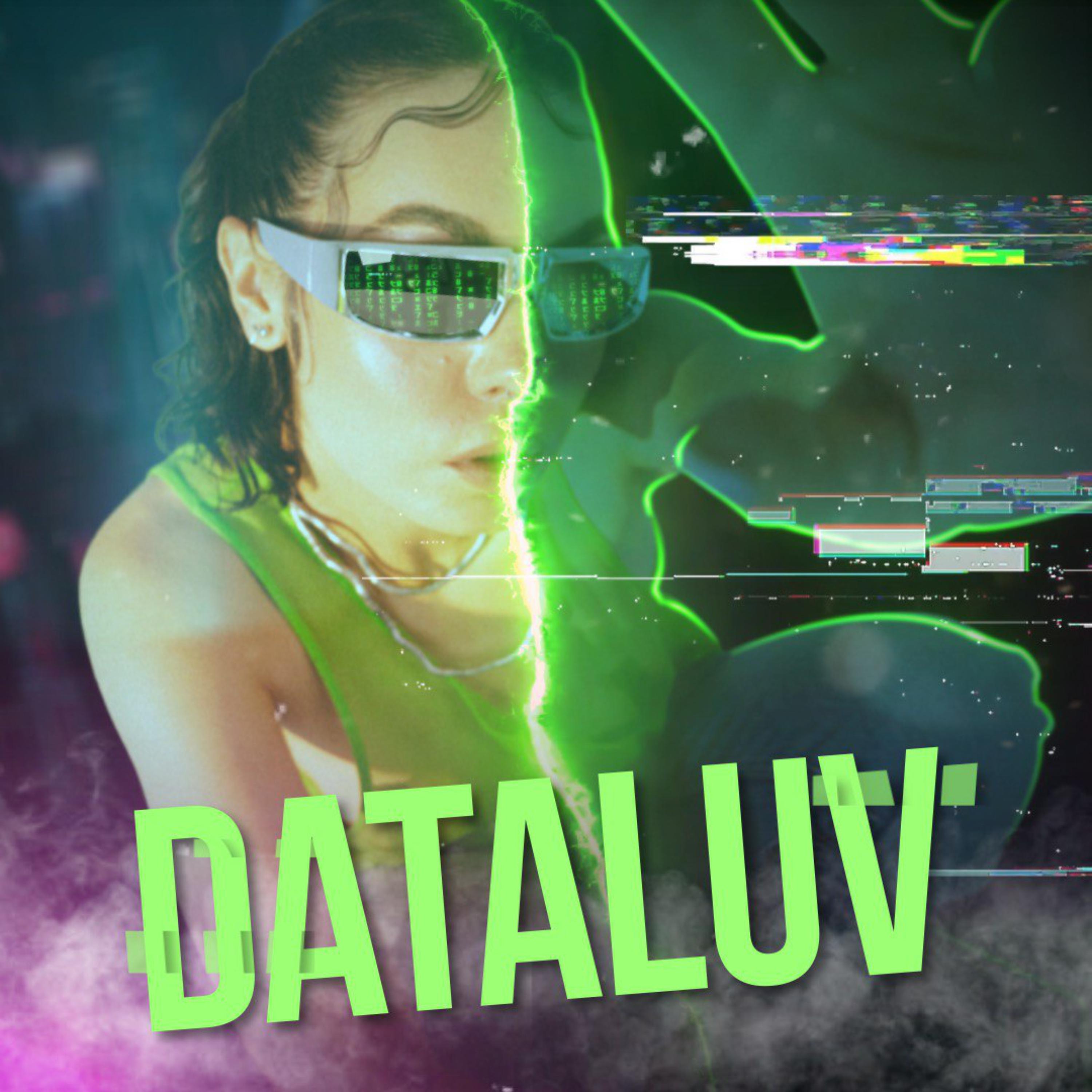 Постер альбома DATALUV