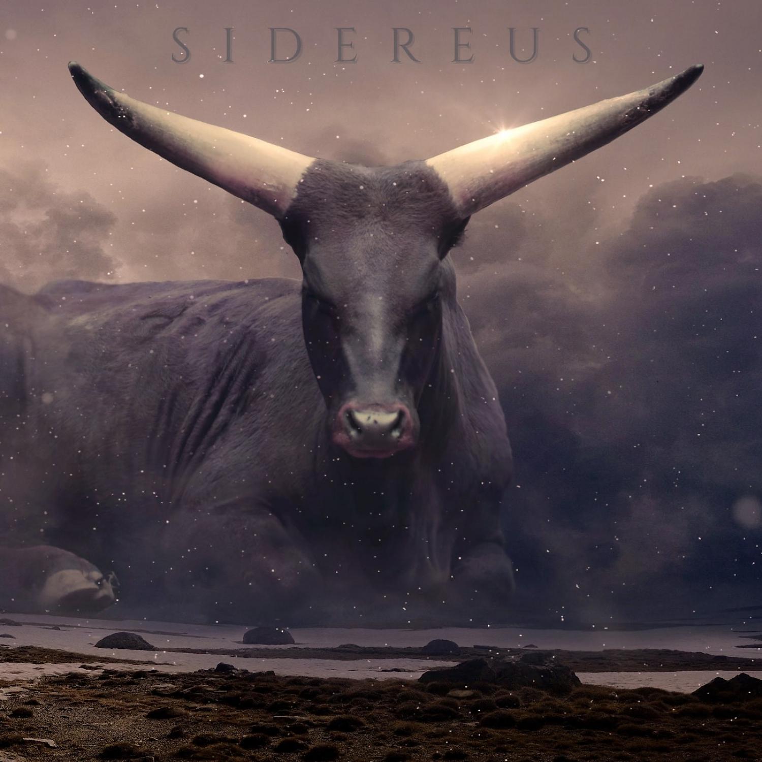 Постер альбома Sidereus