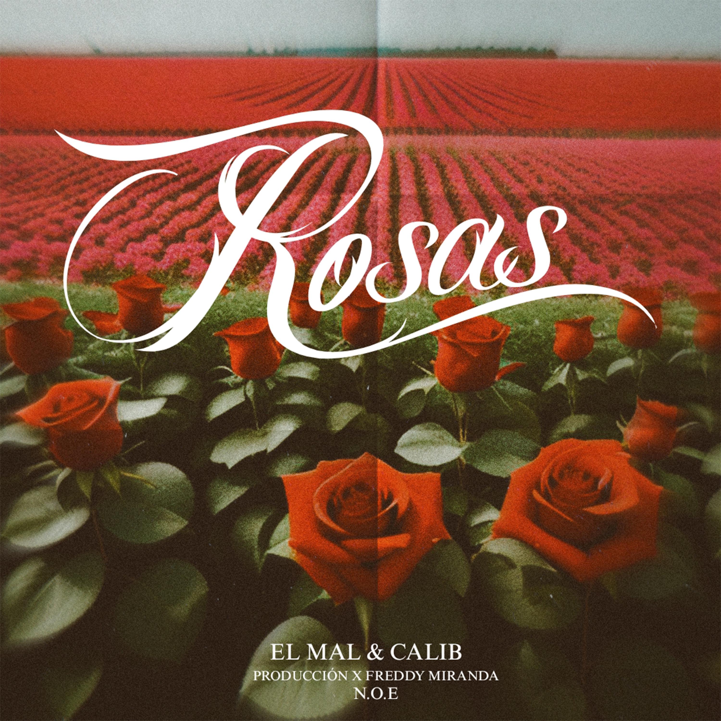 Постер альбома Rosas
