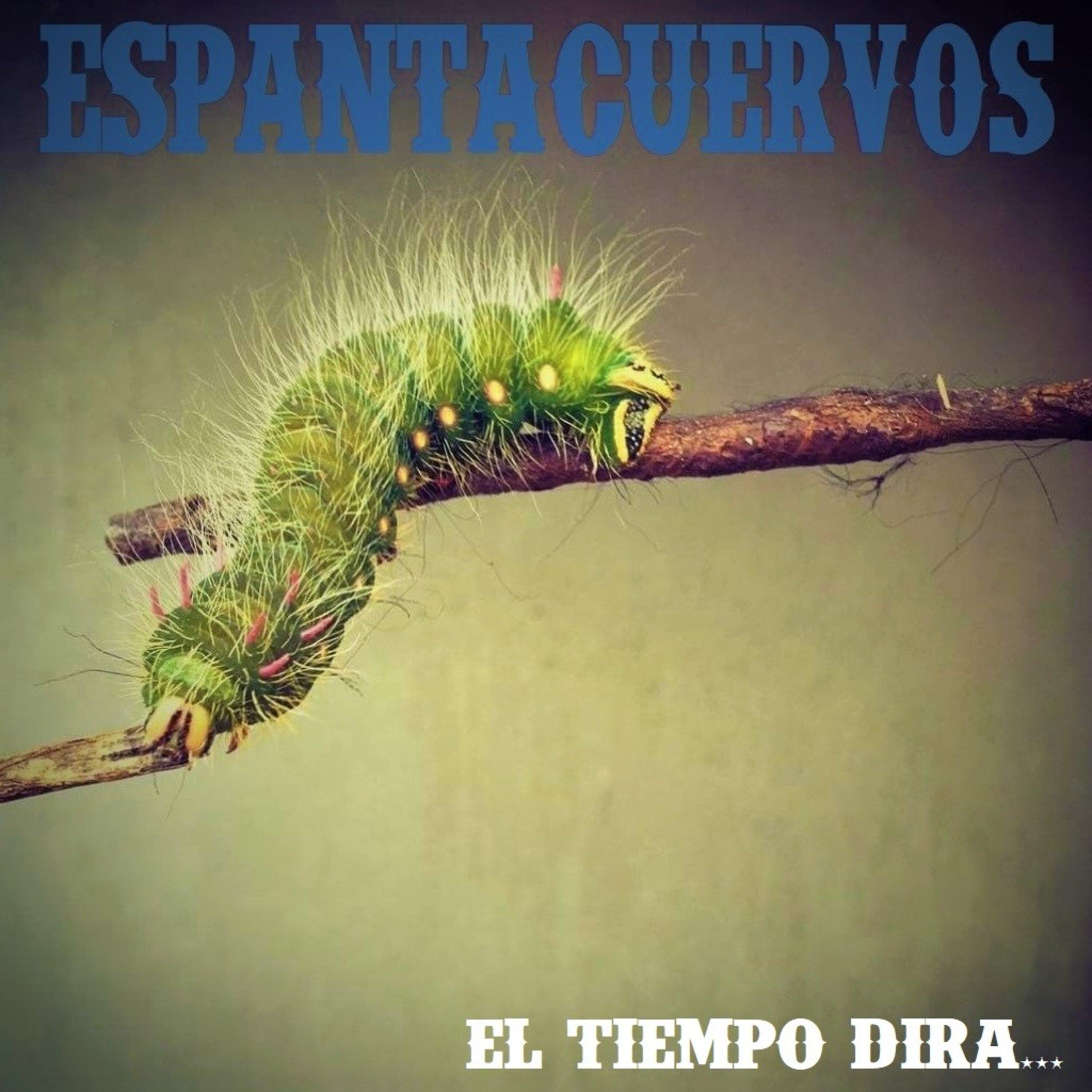 Постер альбома El Tiempo Dirá...