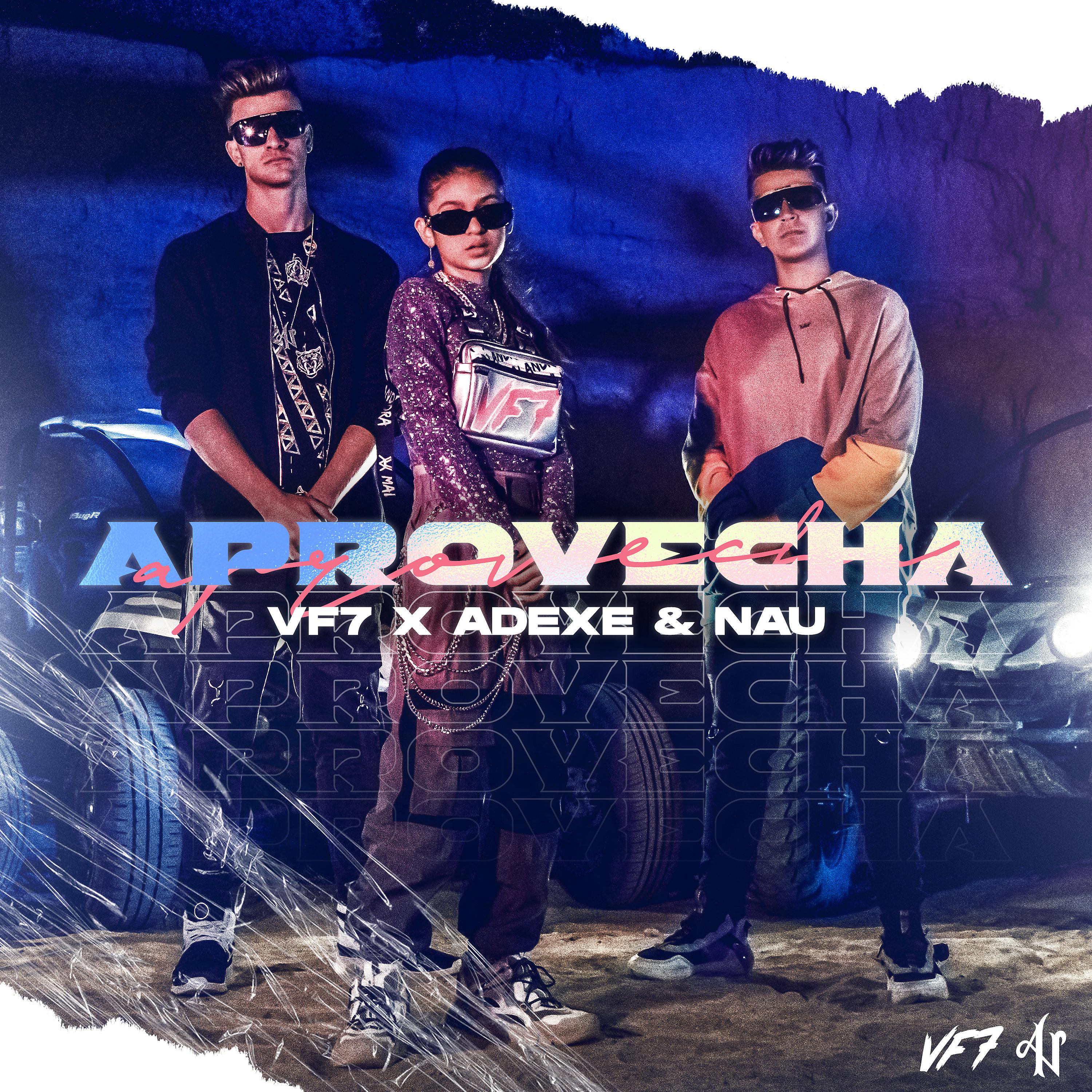 Постер альбома Aprovecha