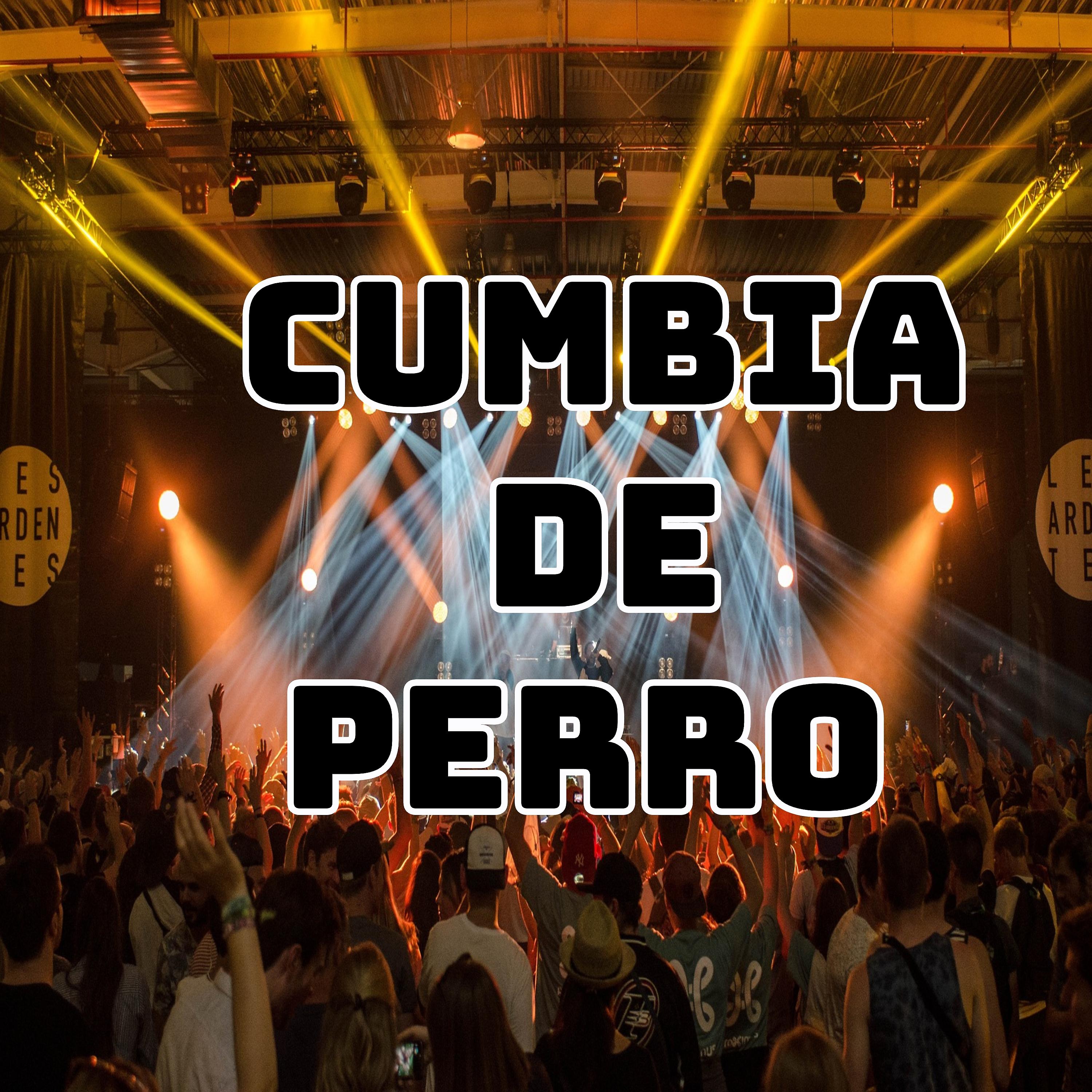 Постер альбома Cumbia de barrio