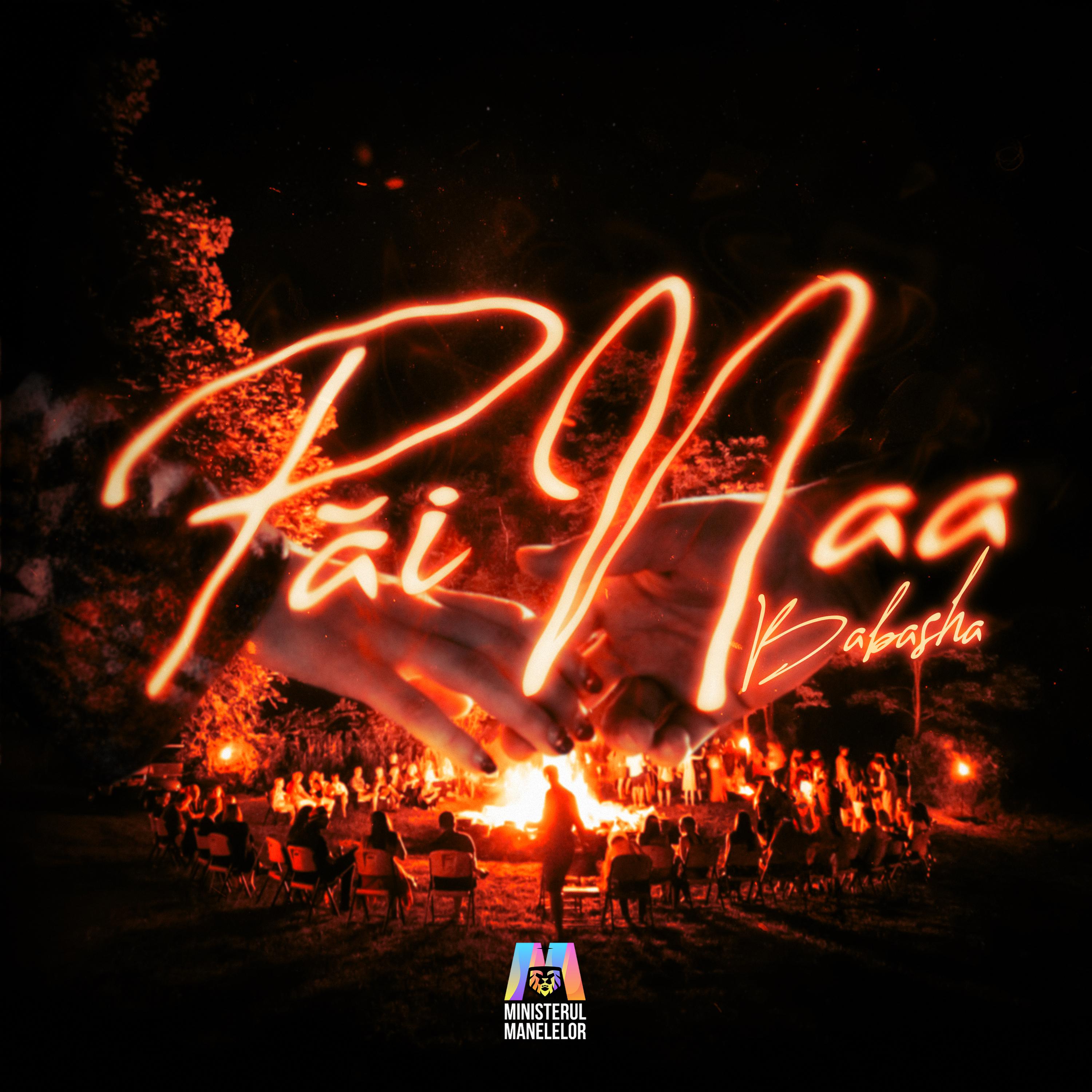 Постер альбома Păi naa