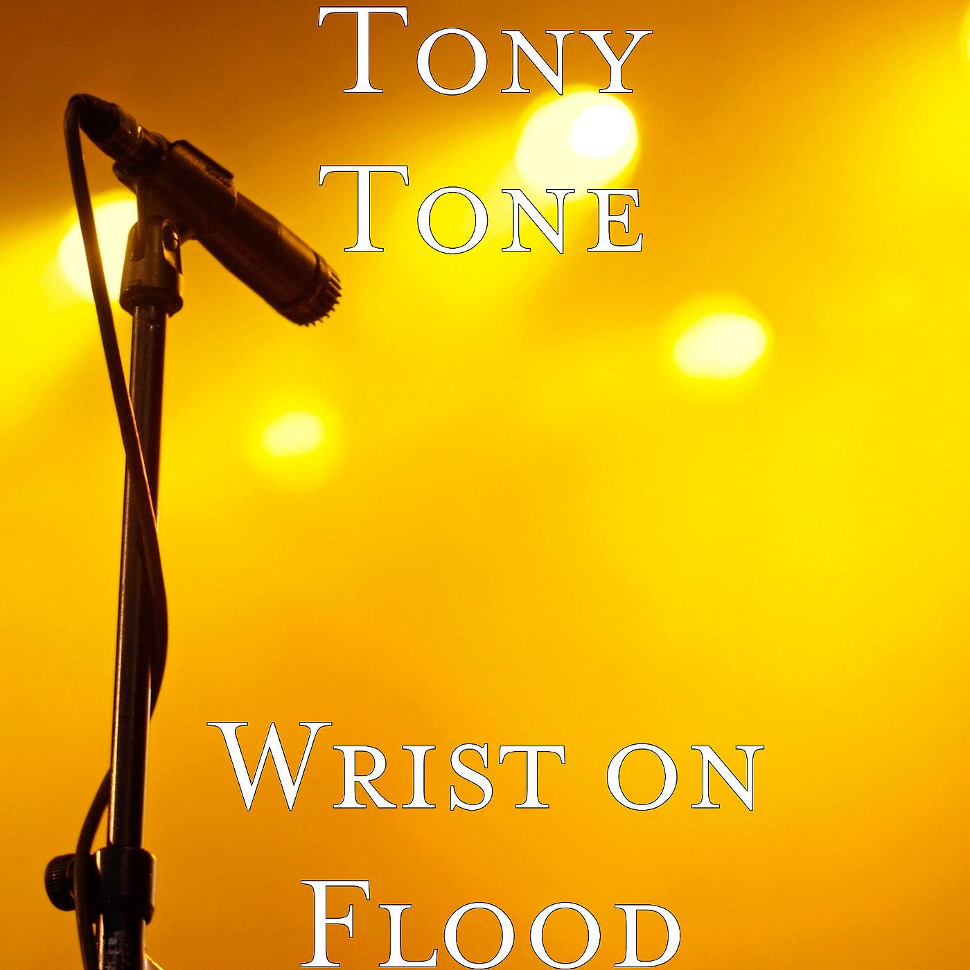 Постер альбома Wrist on Flood