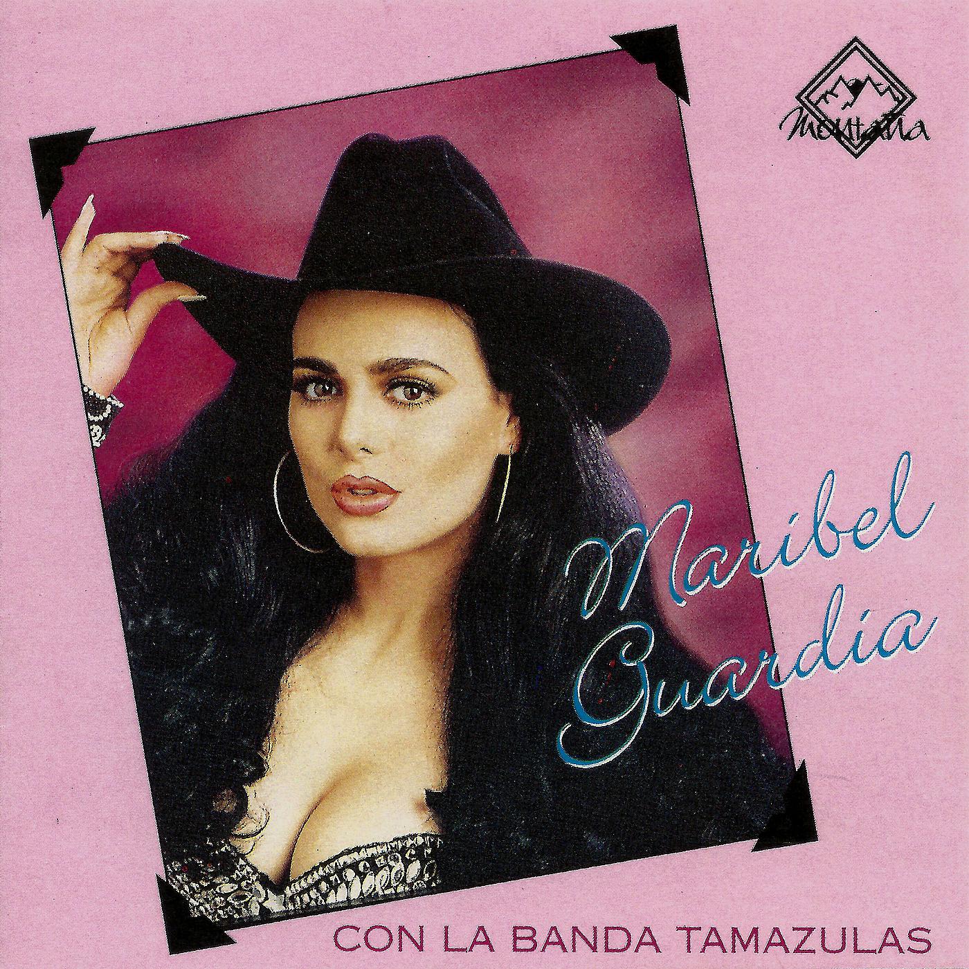 Постер альбома Con La Banda Tamazulas