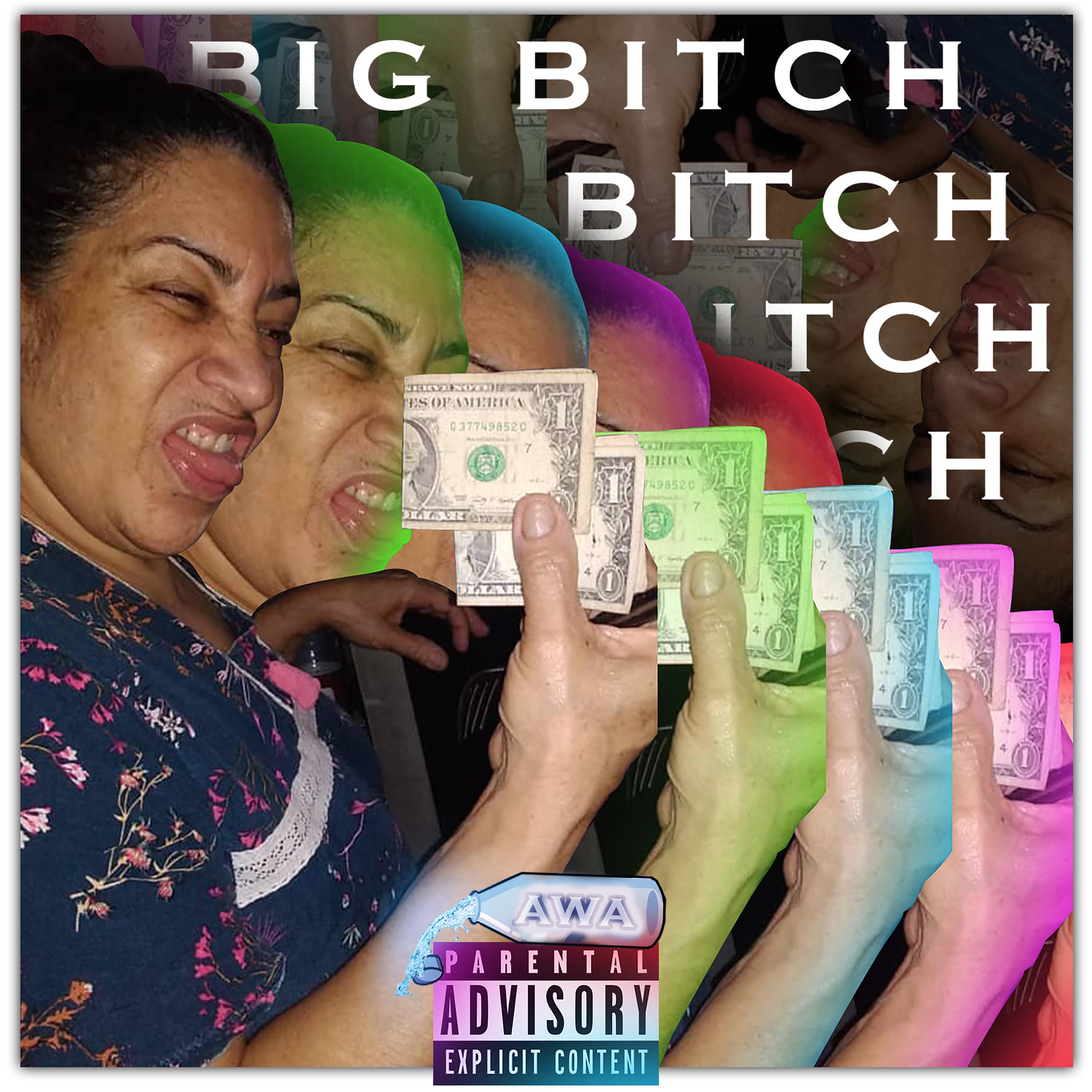 Постер альбома Big Bitch