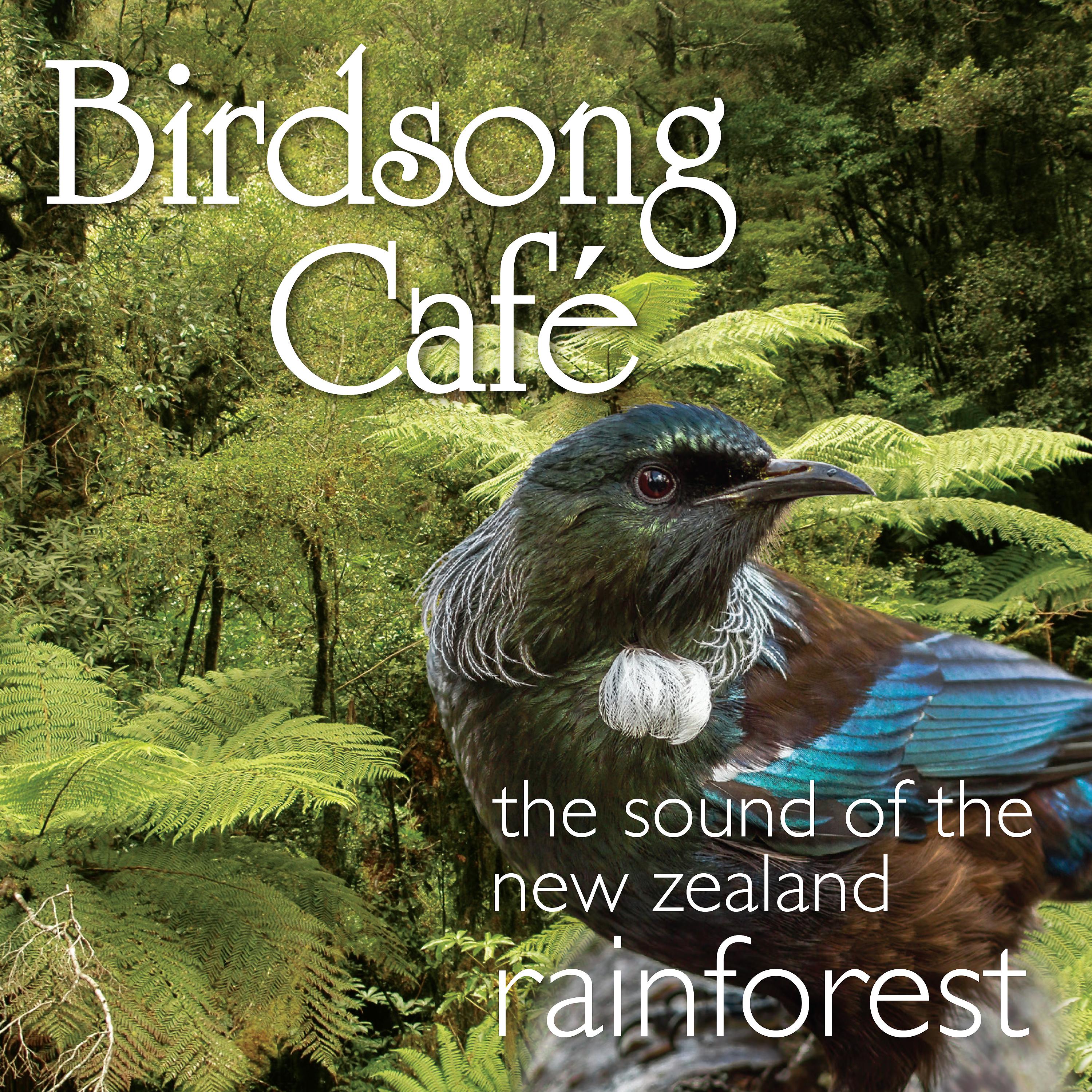Постер альбома Birdsong Café - The Sound of the New Zealand Rainforest