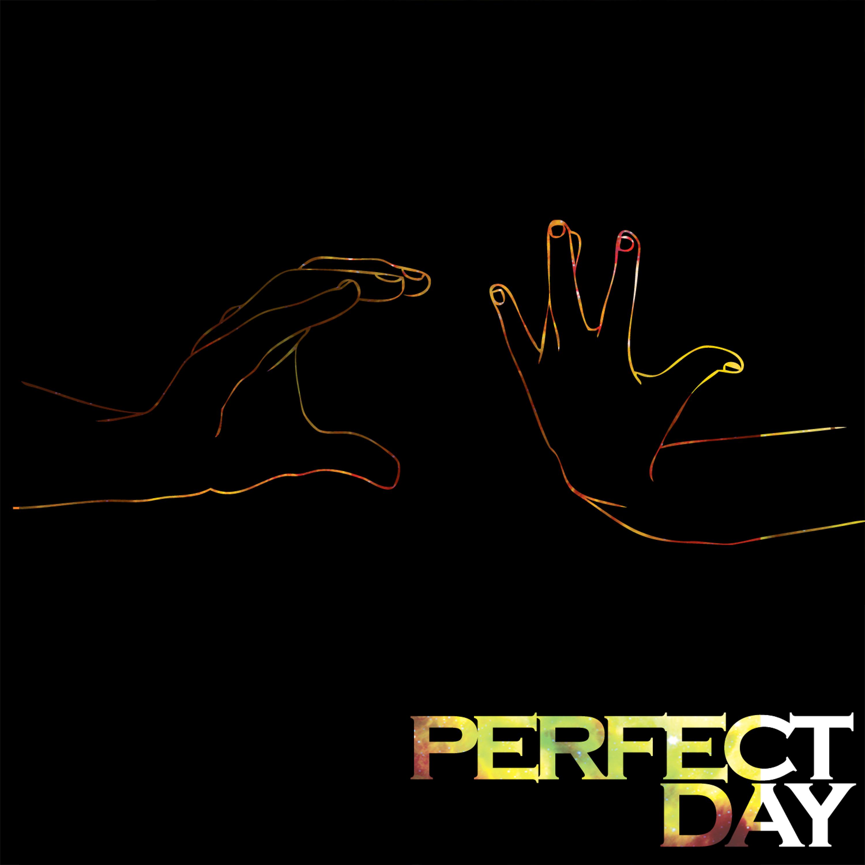 Постер альбома Perfect Day - Single
