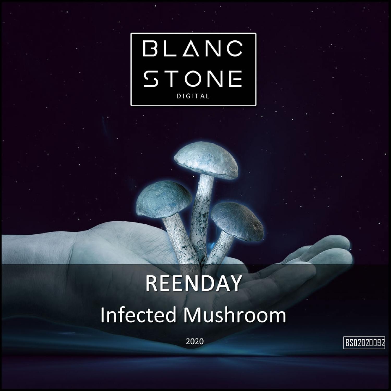 Постер альбома Infected Mushroom