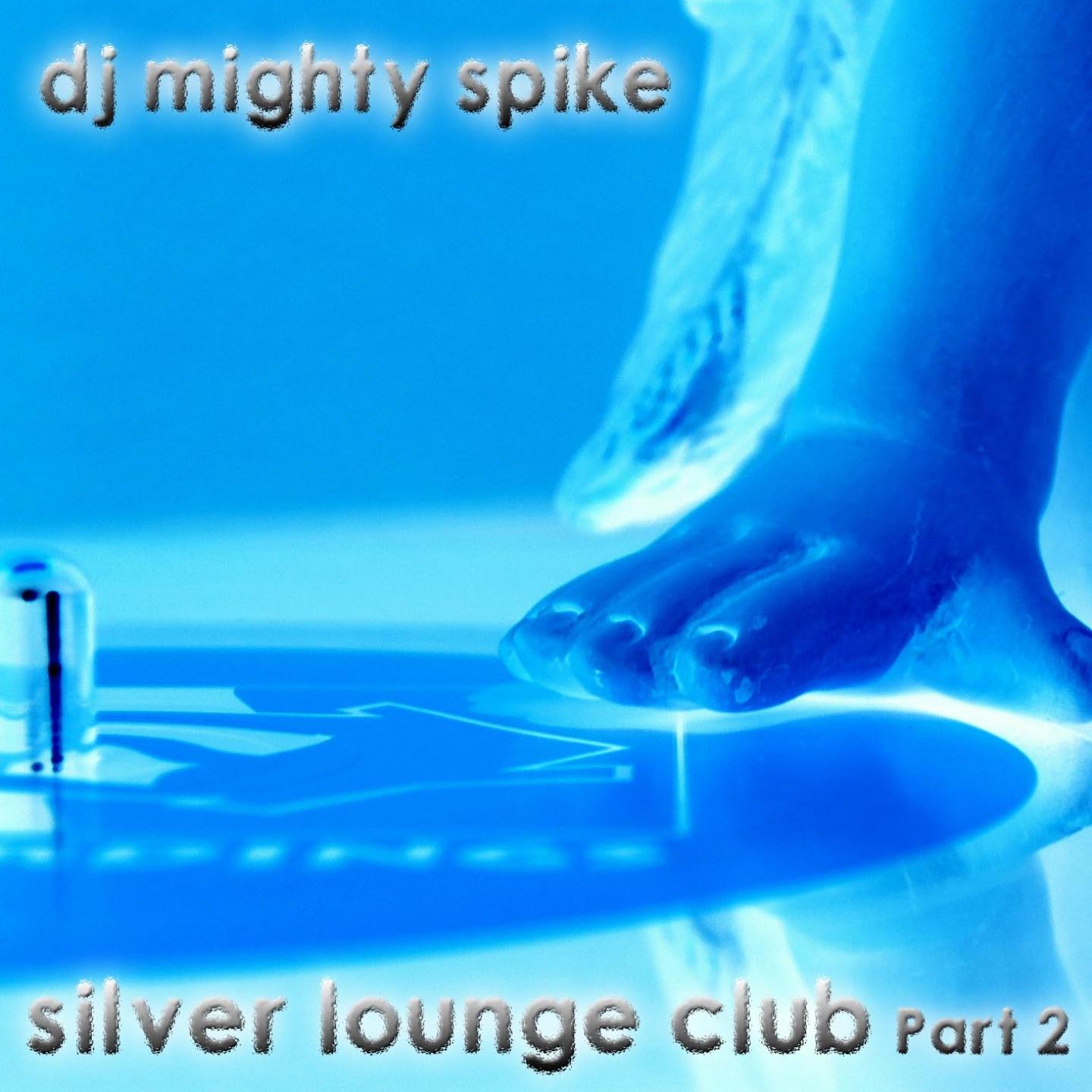 Постер альбома Silver Lounge Club Part 2