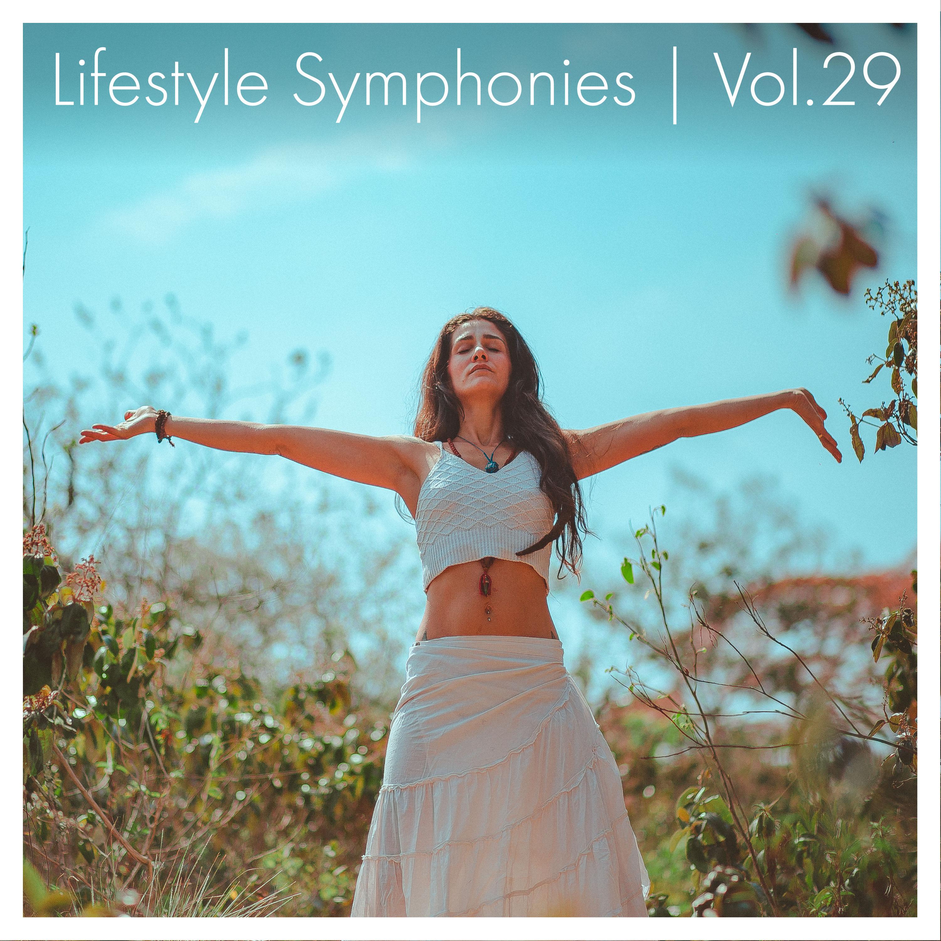 Постер альбома Lifestyle Symphonies, Vol. 29