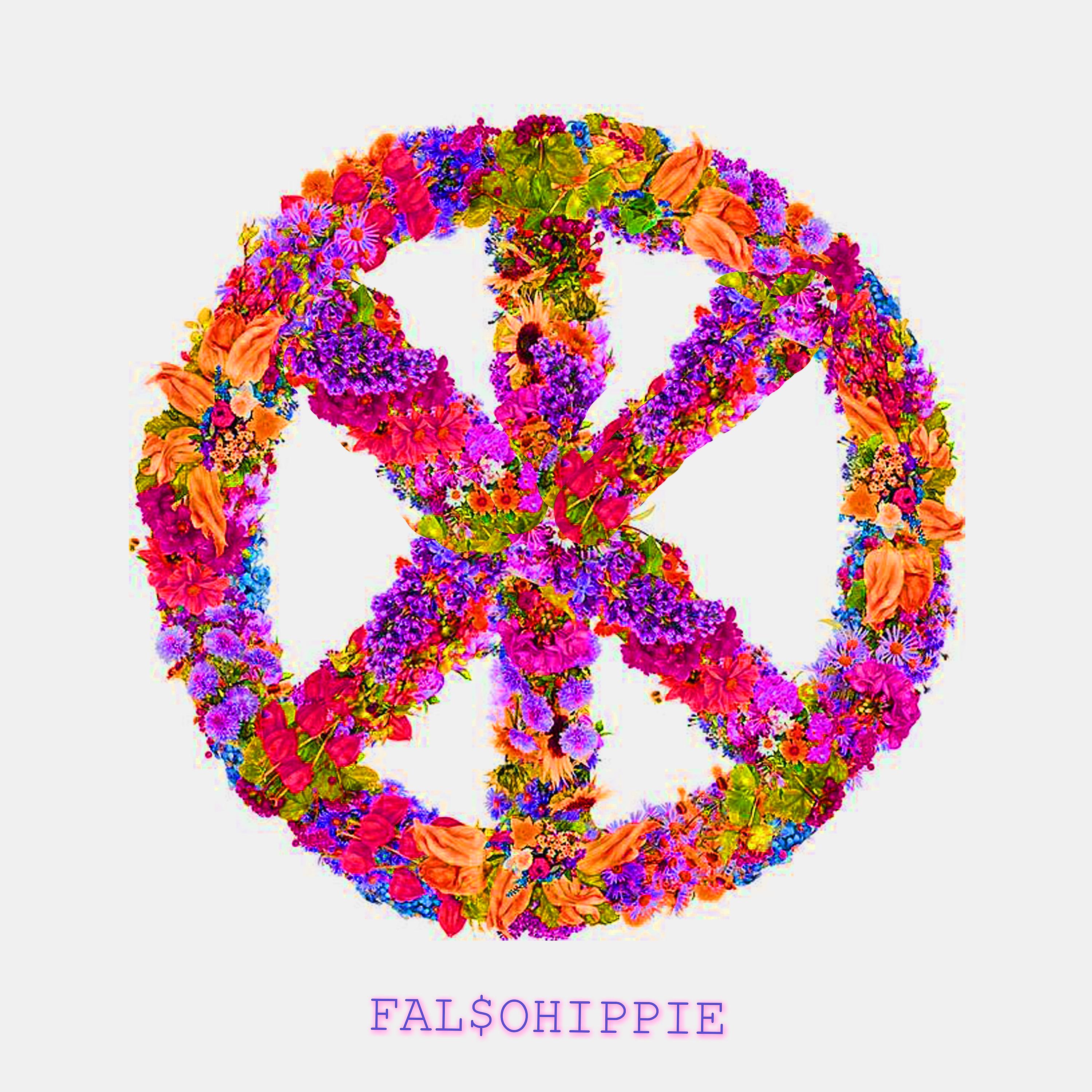Постер альбома Falso Hippie