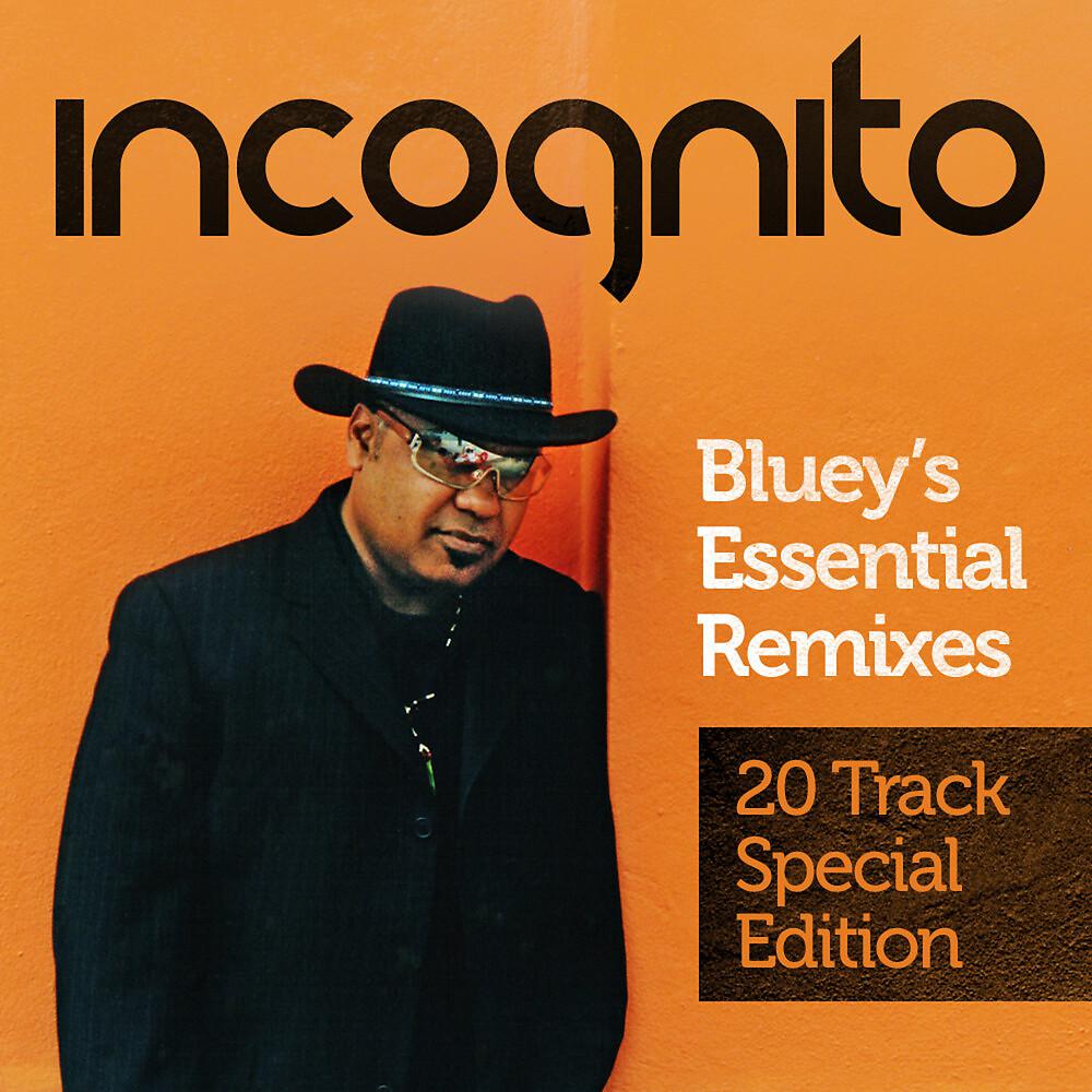 Постер альбома Bluey's Essential Remixes