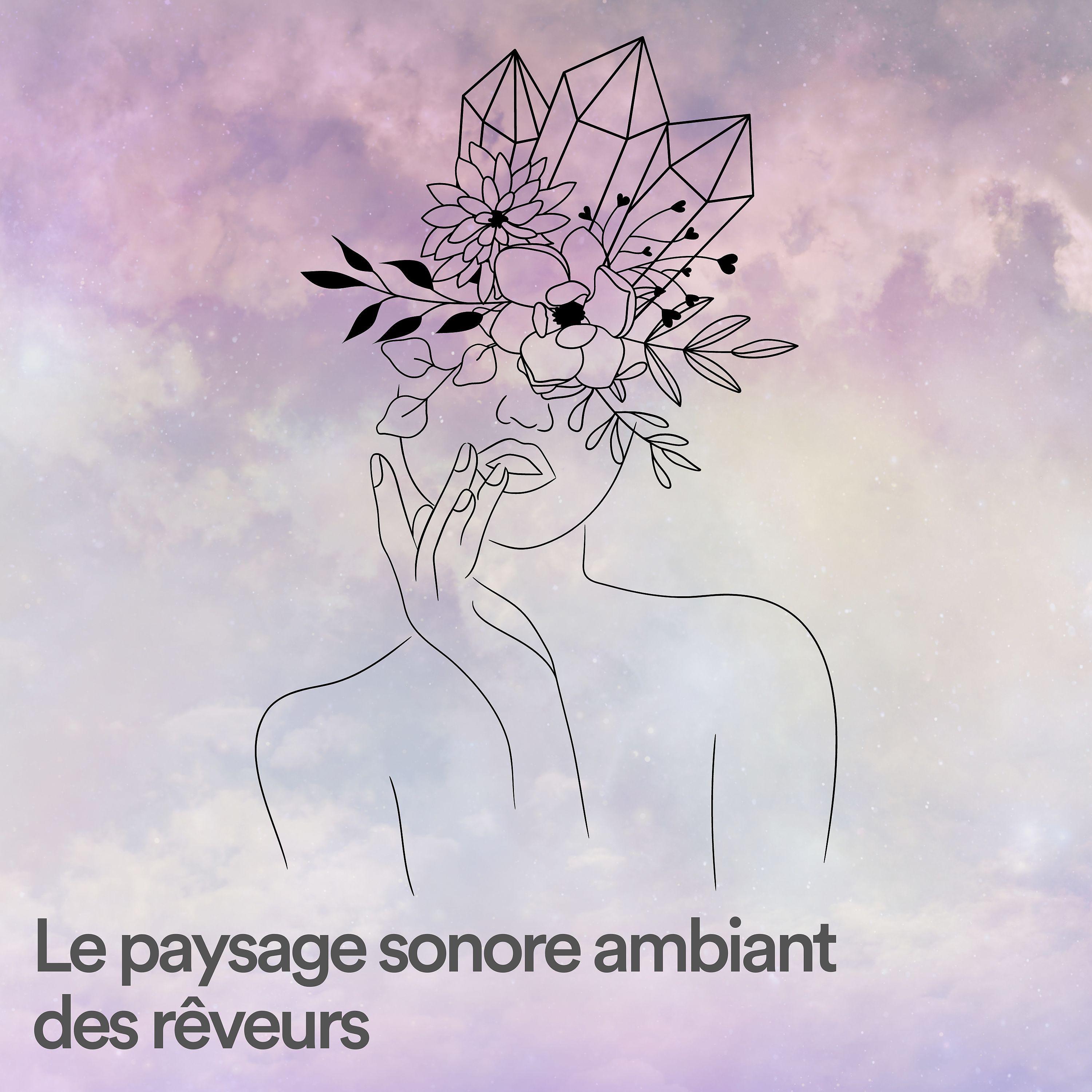 Постер альбома Le paysage sonore ambiant des rêveurs
