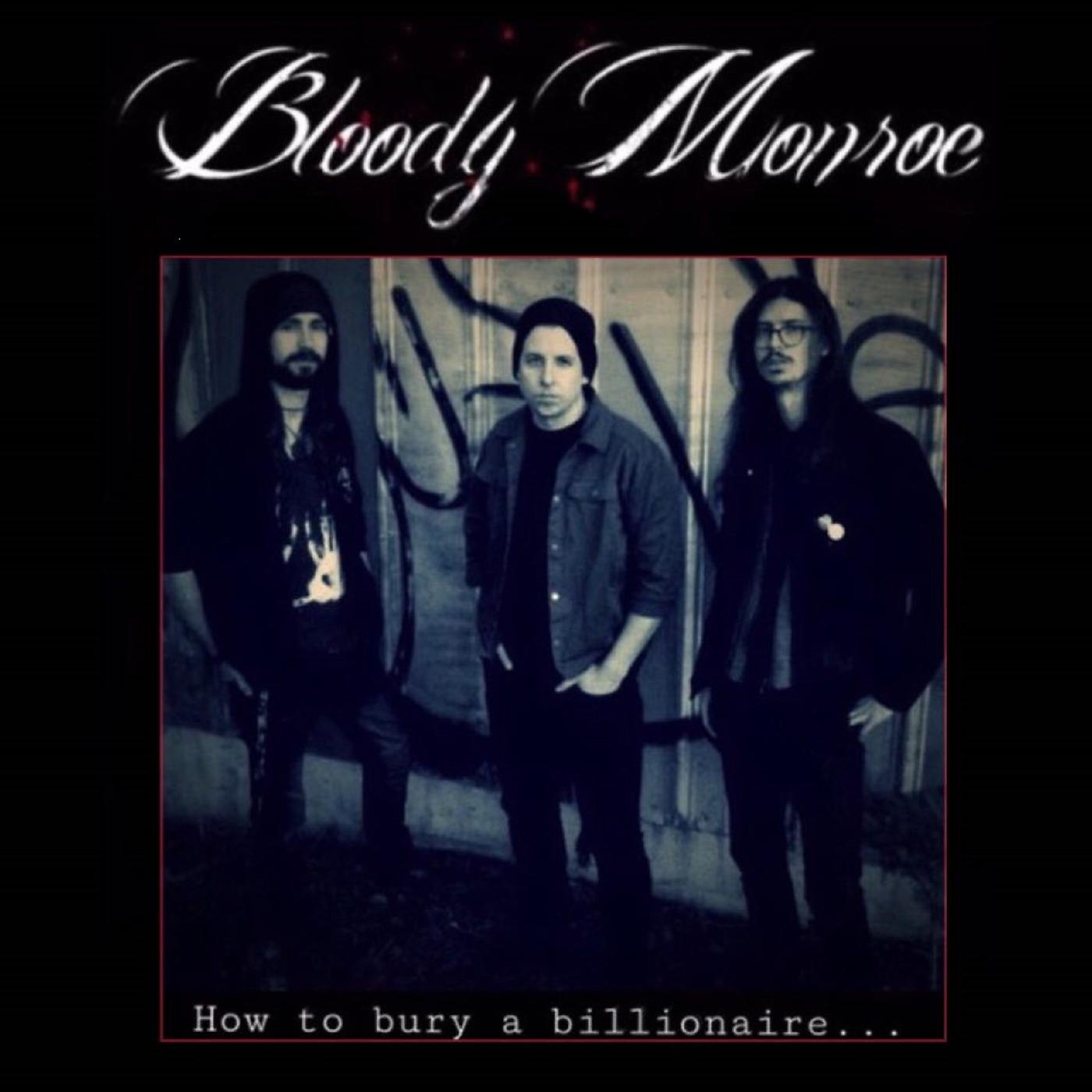Постер альбома How to Bury a Billionaire...