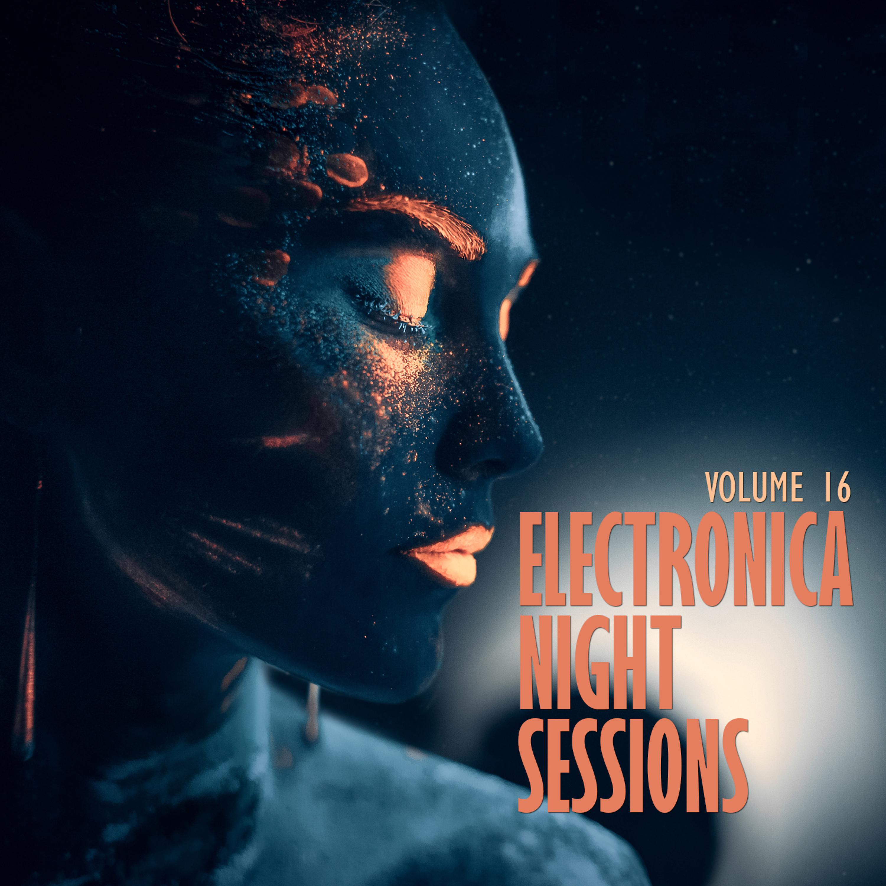 Постер альбома Electronica: Night Sessions, Vol. 16