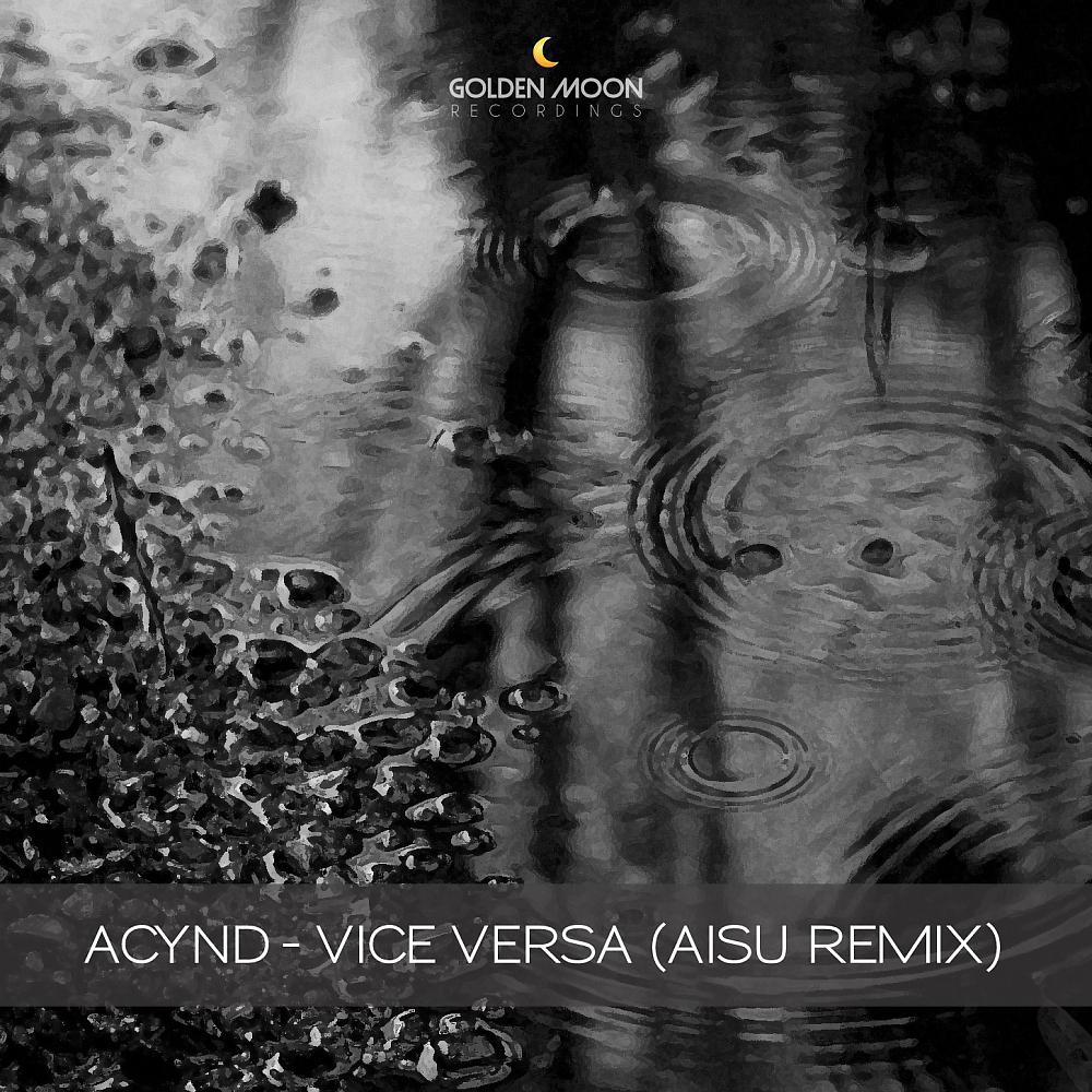 Постер альбома Vice Versa (Aisu Remix)