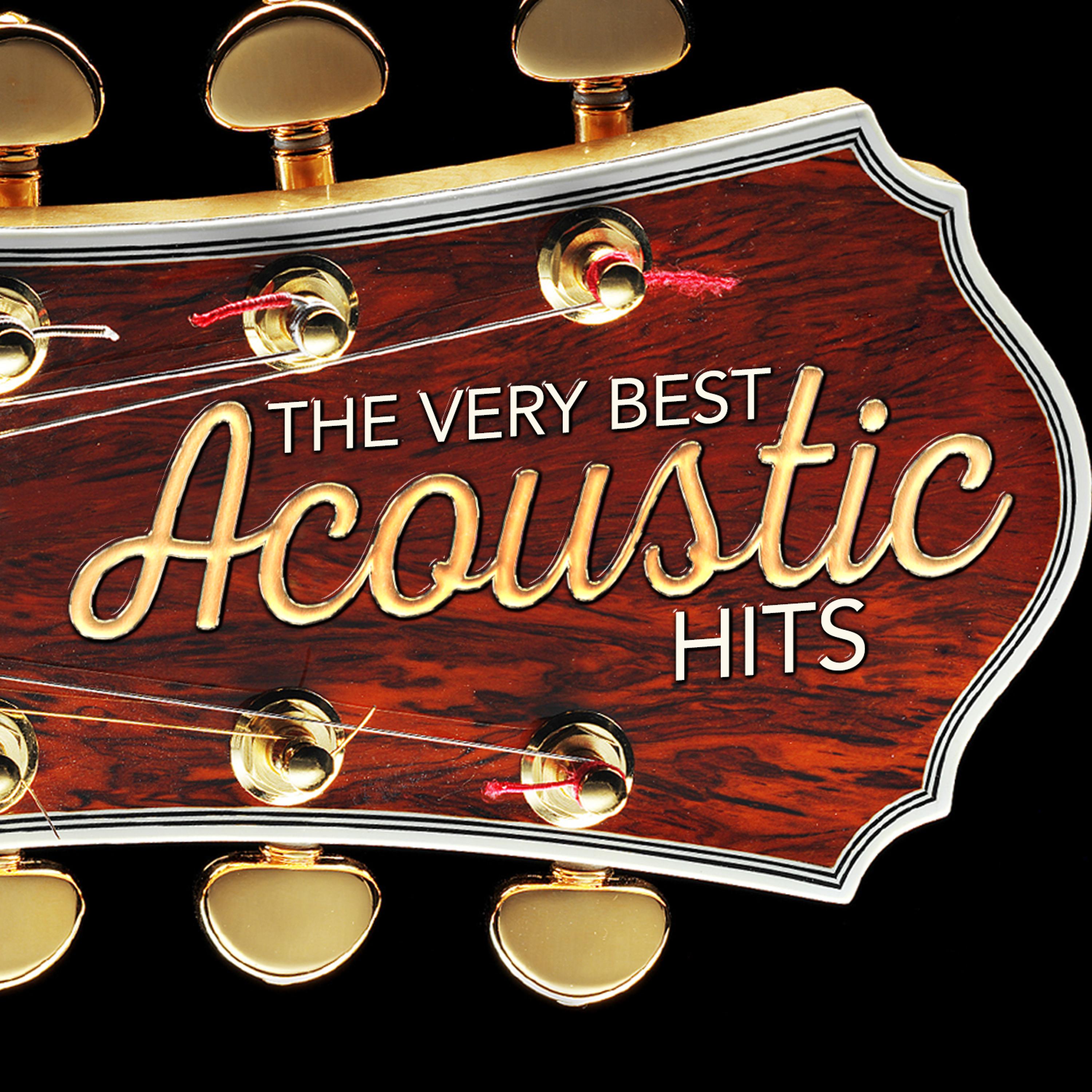 Постер альбома The Very Best Acoustic Hits