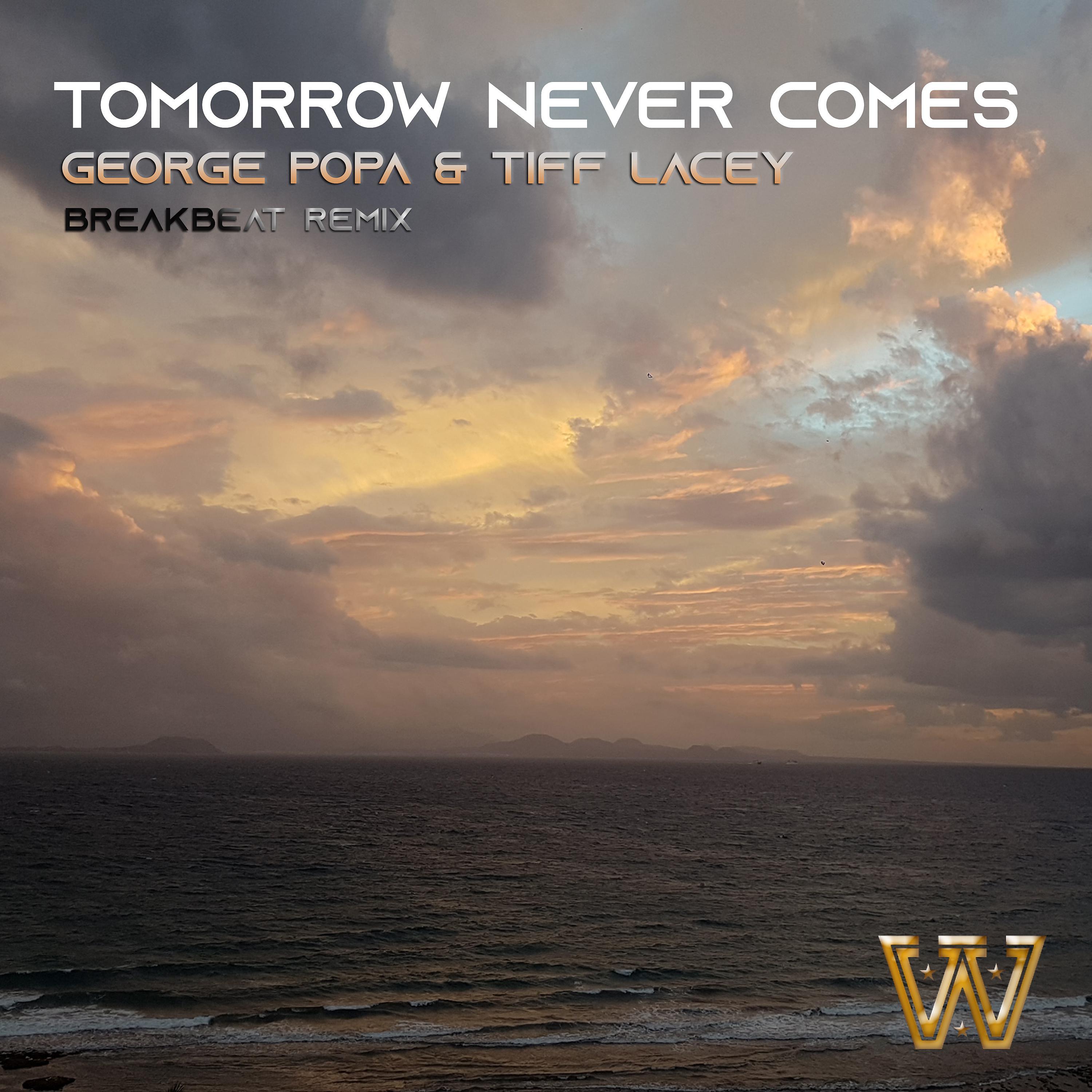 Постер альбома Tomorrow Never Comes (Breakbeat Remix)