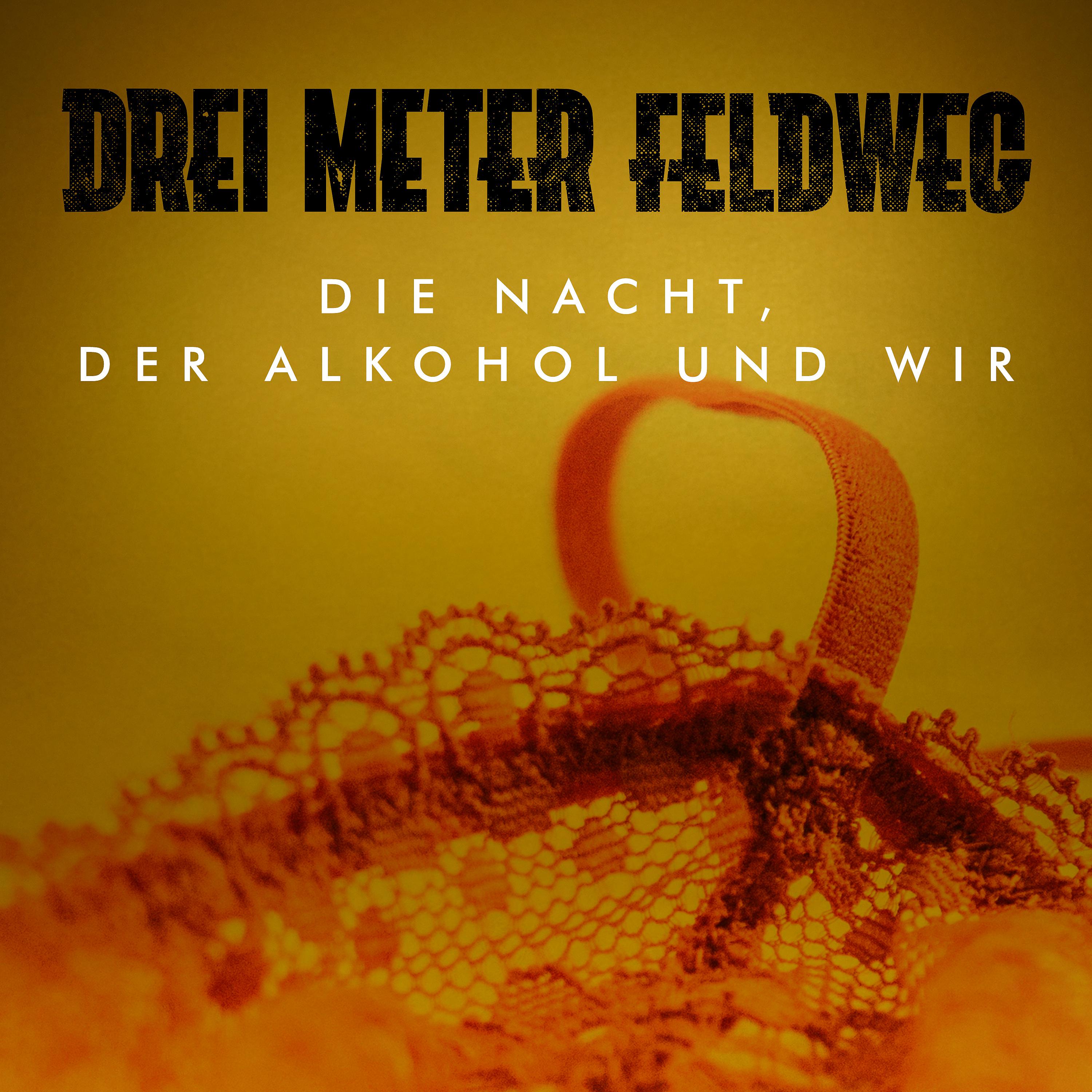 Постер альбома Die Nacht, der Alkohol und wir