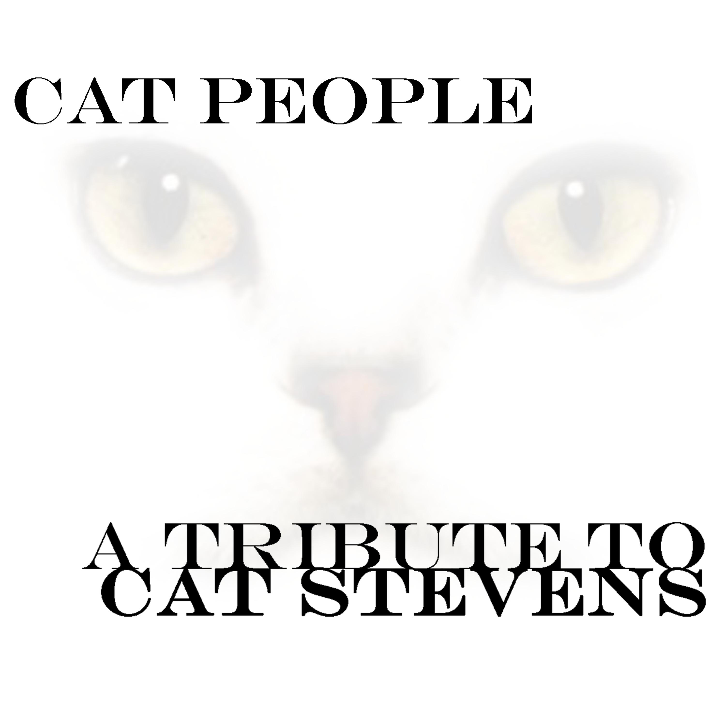 Постер альбома A Tribute To Cat Stevens