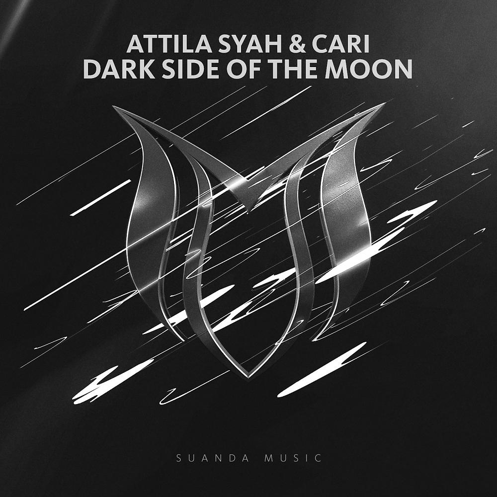 Постер альбома Dark Side Of The Moon