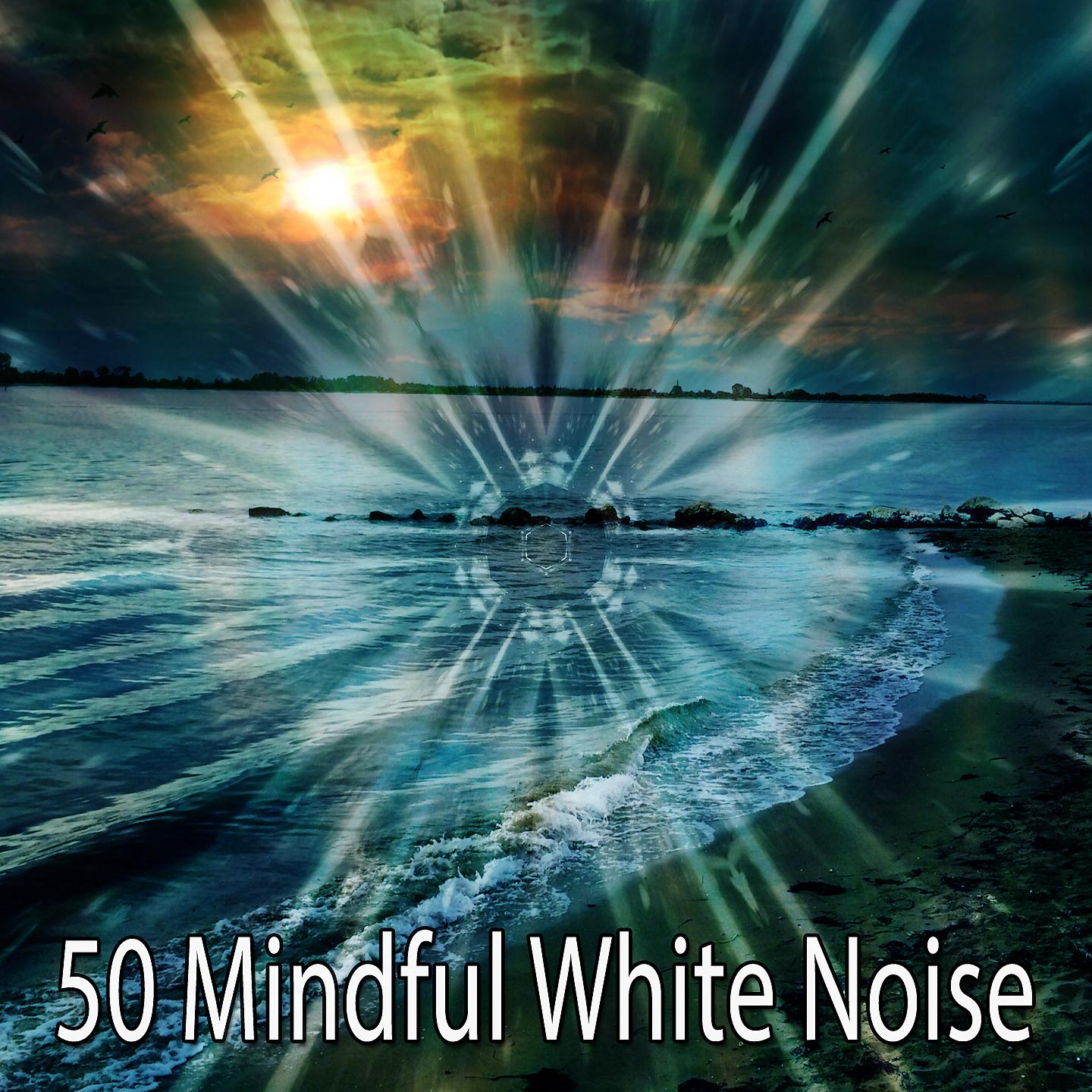 Постер альбома 50 Осознанный белый шум