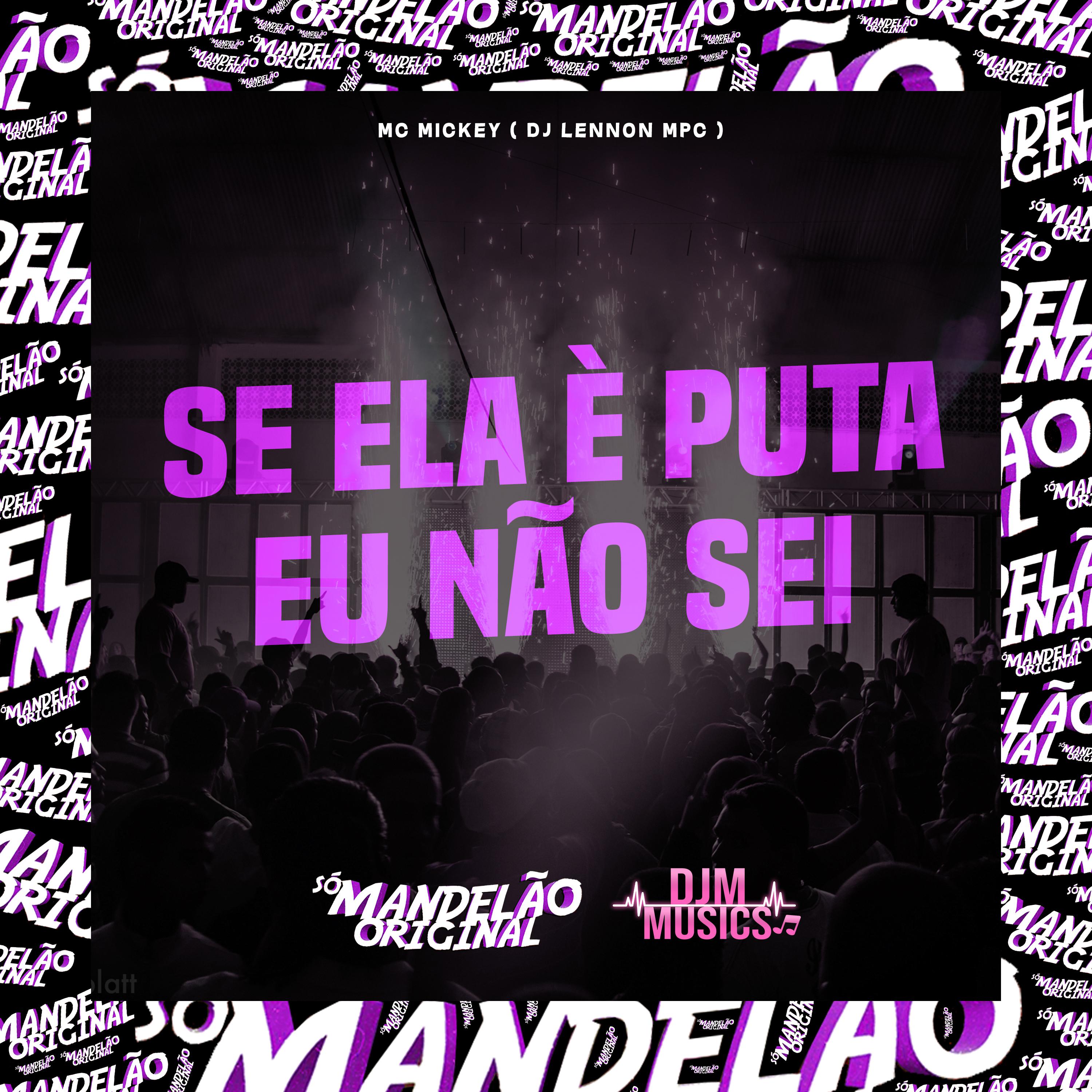 Постер альбома Se Ela È Puta Eu Não Sei