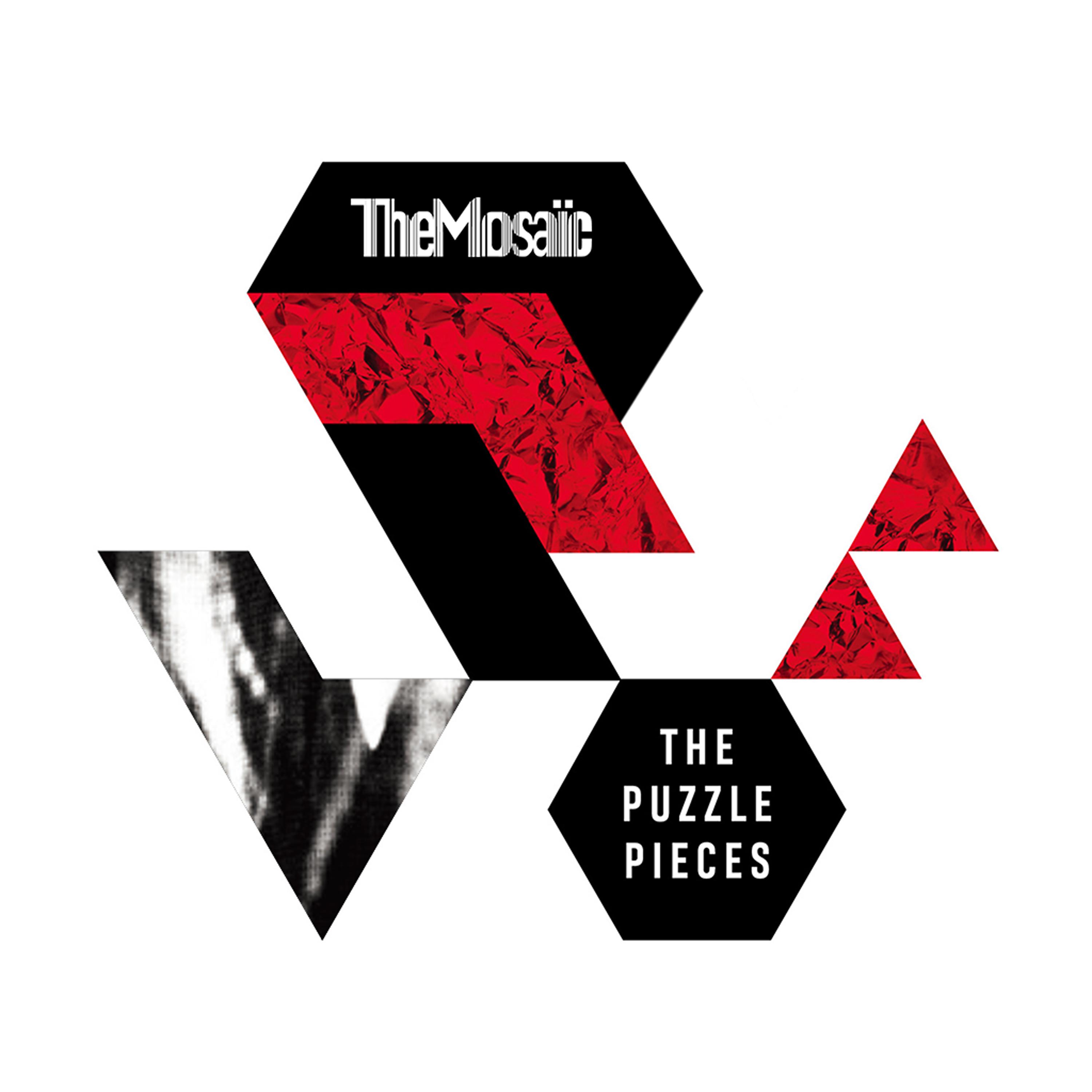 Постер альбома The Puzzle Pieces