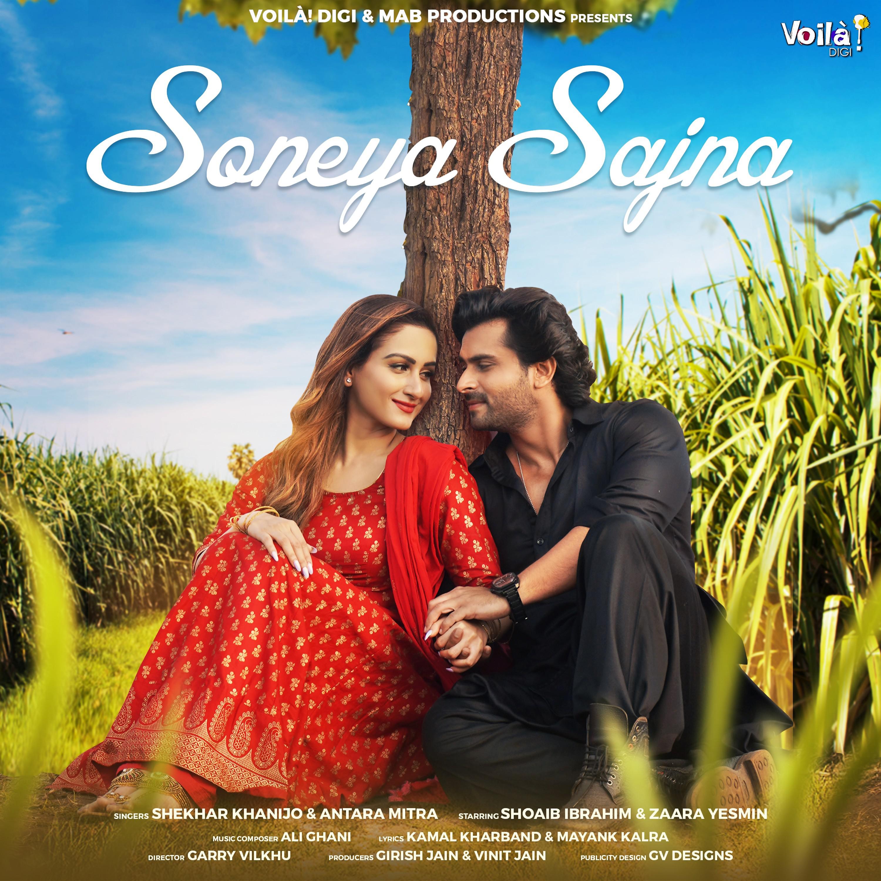 Постер альбома Soneya Sajna