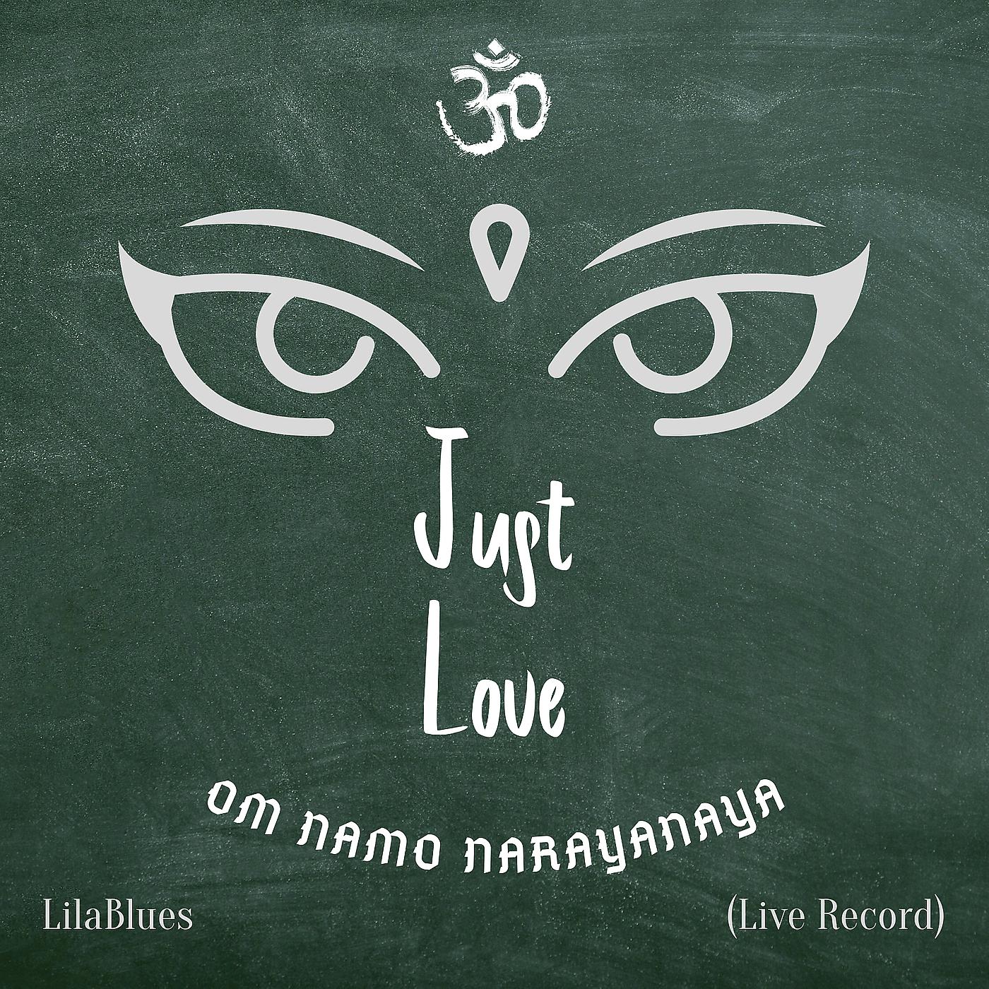 Постер альбома Just Love. Om Namo Narayanaya (Live Version)