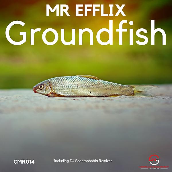 Постер альбома Groundfish EP