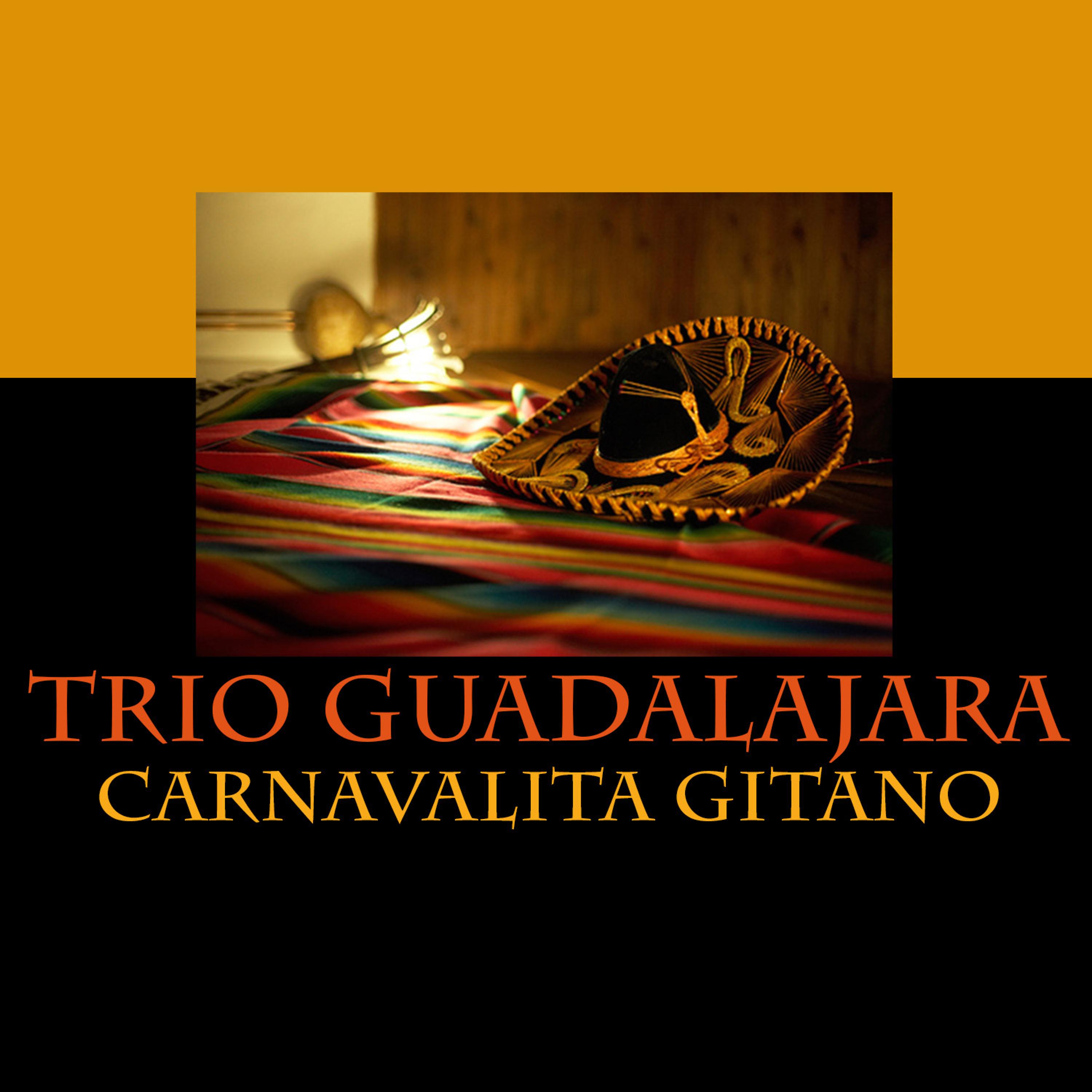 Постер альбома Carnavalita Gitano