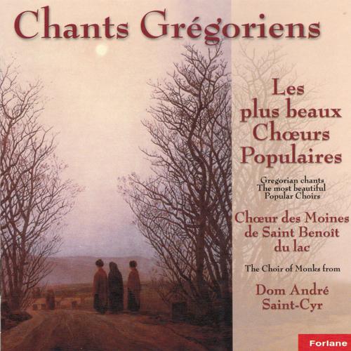 Постер альбома Chants grégoriens : Les plus beaux choeurs populaires