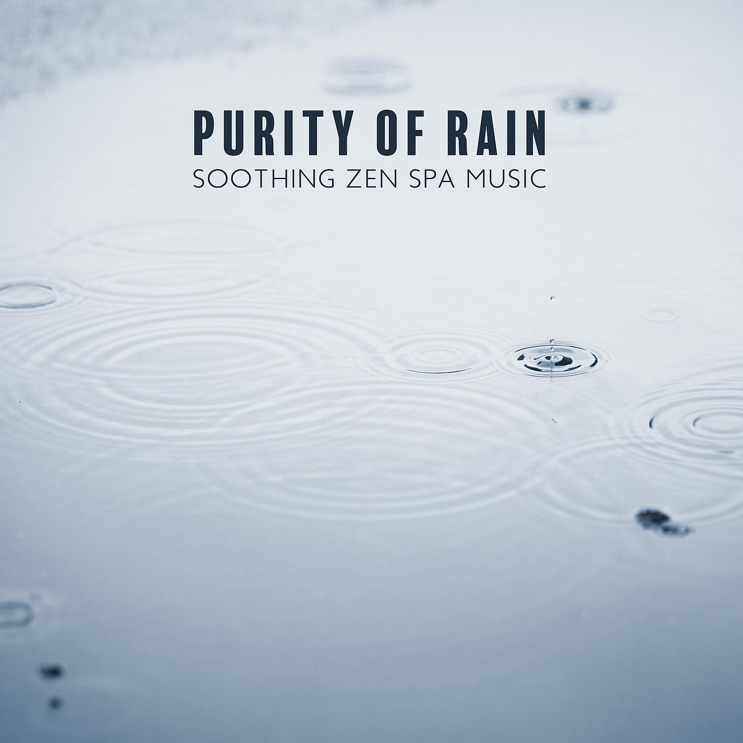 Постер альбома Purity of Rain. Soothing Zen Spa Music with Healing Nature Sounds, Relax and Renew, Massage Therapy & Home Spa