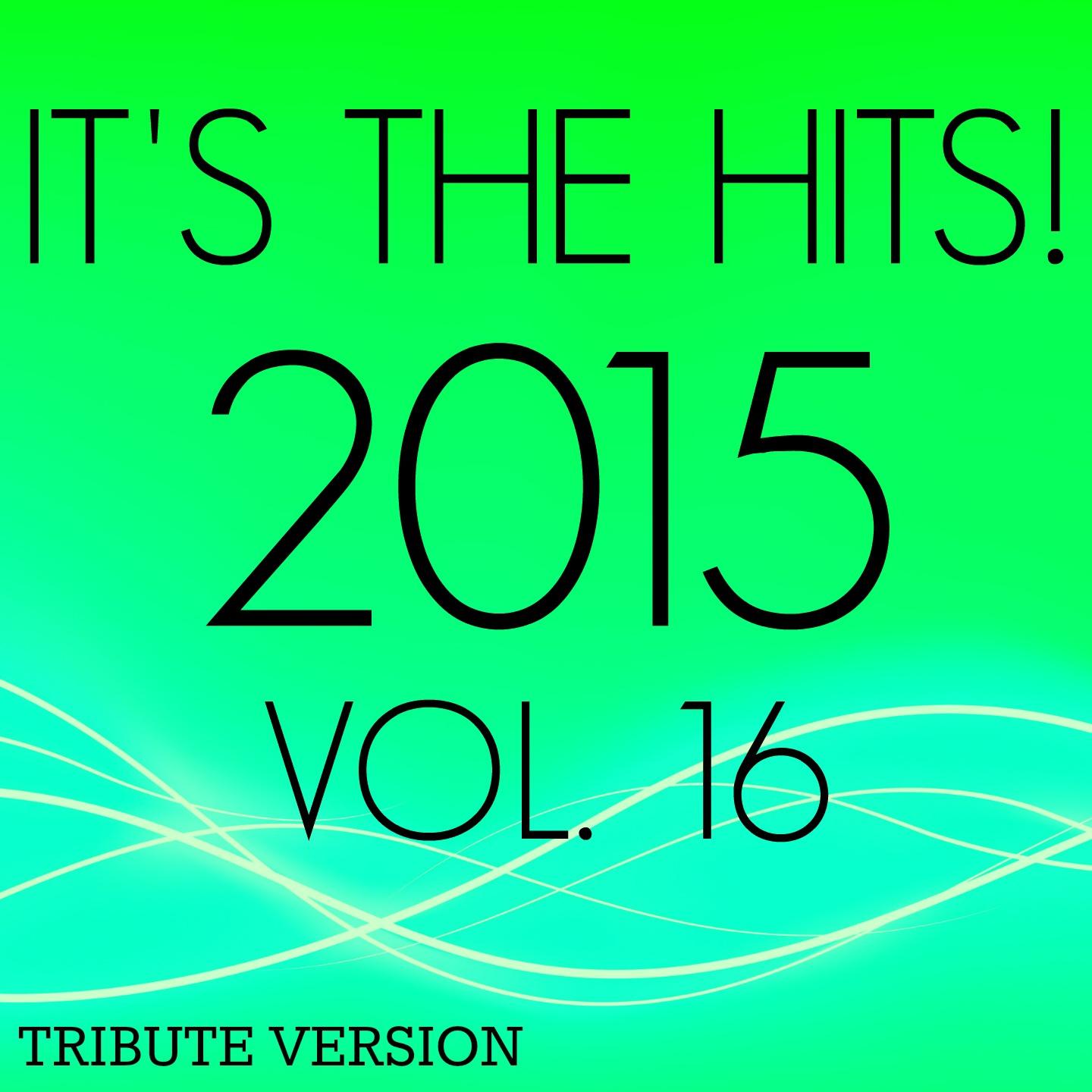 Постер альбома It's the Hits! 2015, Vol.16