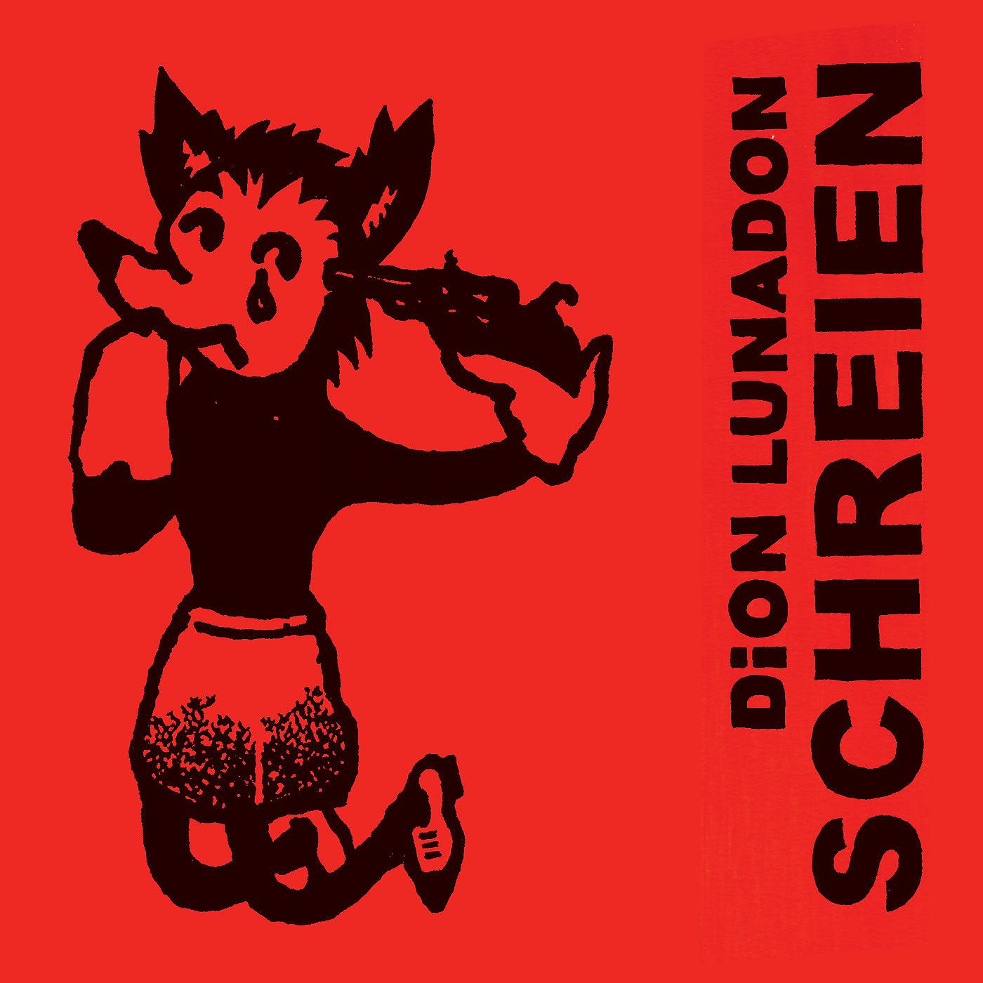 Постер альбома Schreien
