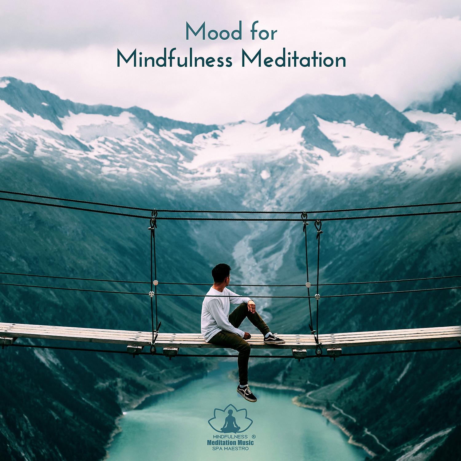 Постер альбома Mood for Mindfulness Meditation: Yoga Morning & Evening, Reiki, Chakra, Stress Relief, Healing Zen Music