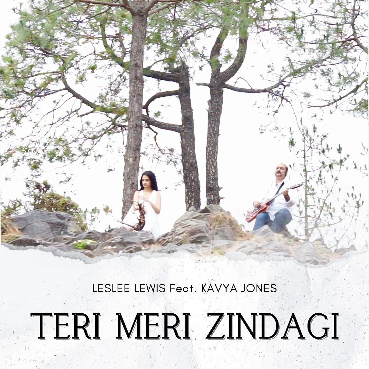 Постер альбома Teri Meri Zindagi