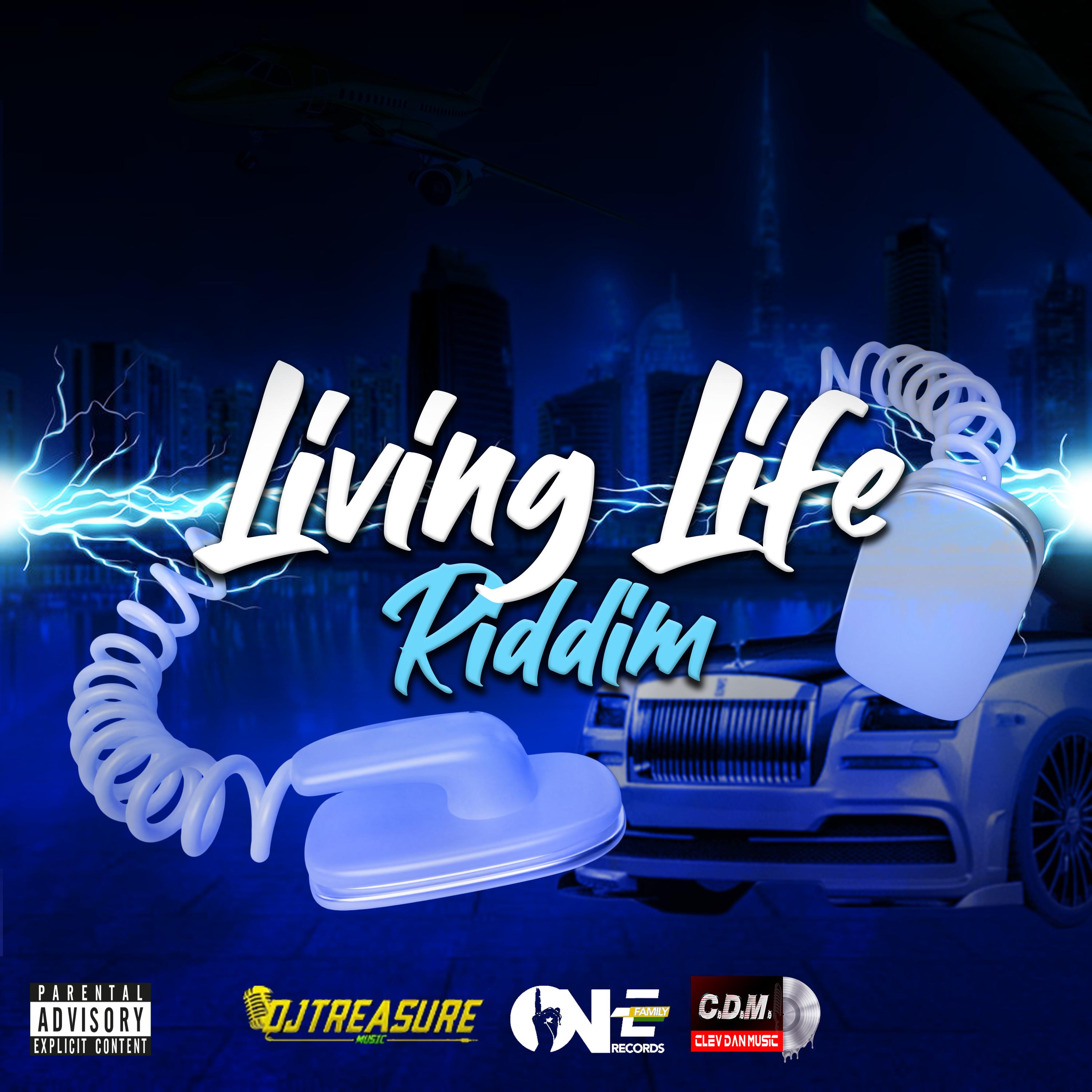 Постер альбома Living Life Riddim