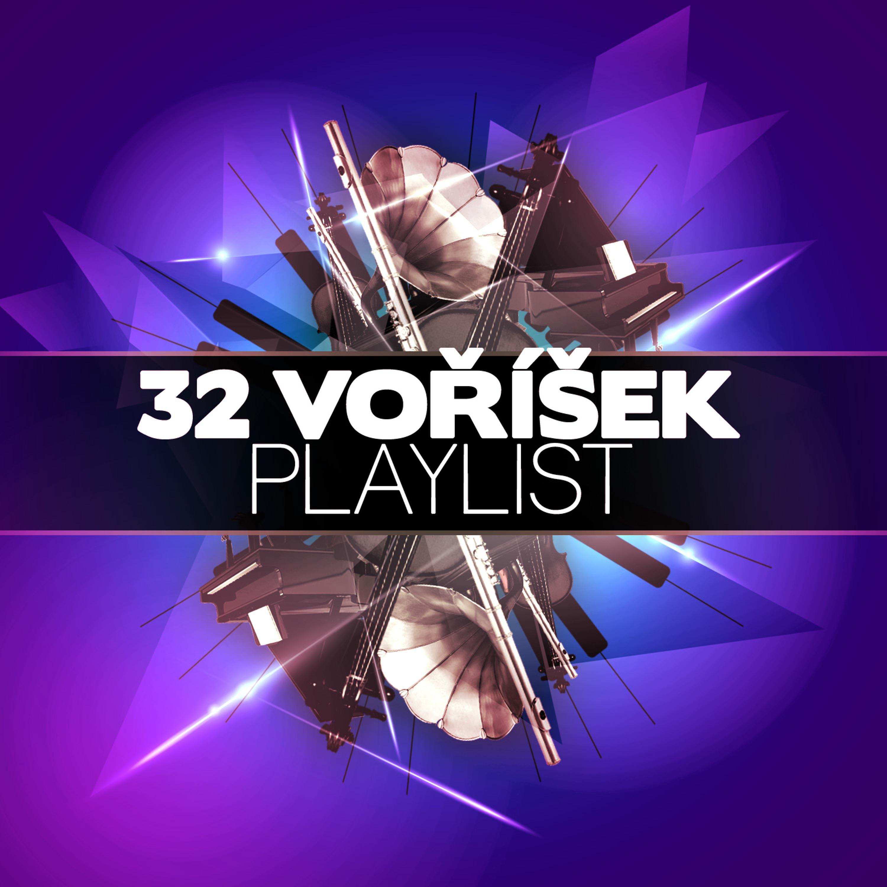 Постер альбома 32 Vorisek Playlist