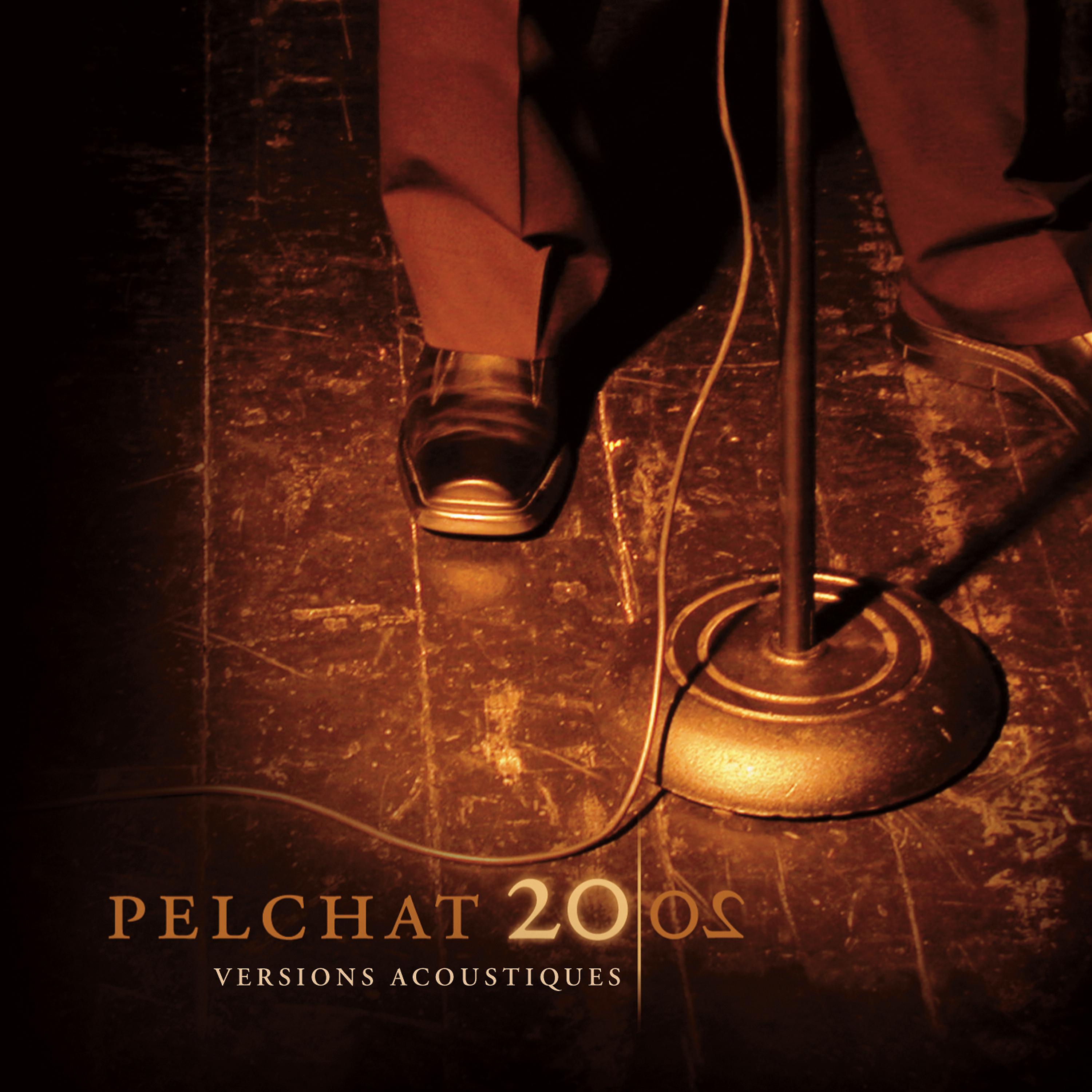 Постер альбома Pelchat 2002 (Acoustique)