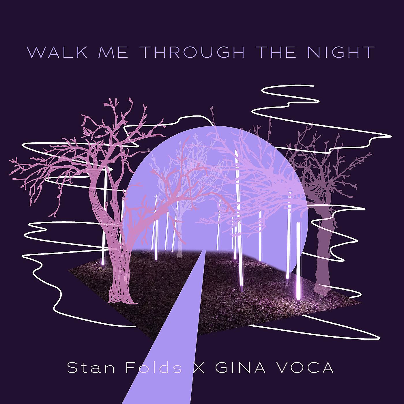 Постер альбома Walk Me Through the Night