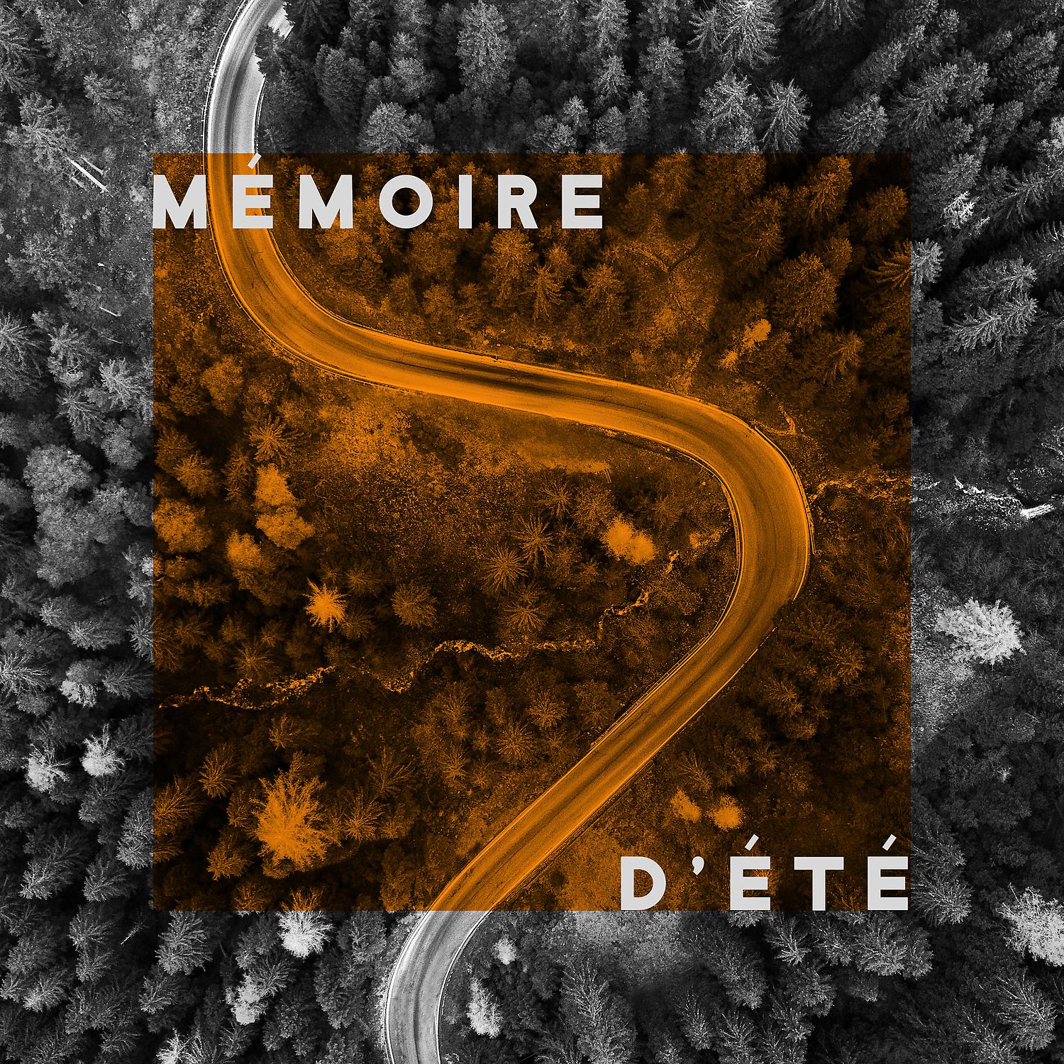 Постер альбома Mémoire d'été: Méditation et communion avec la nature