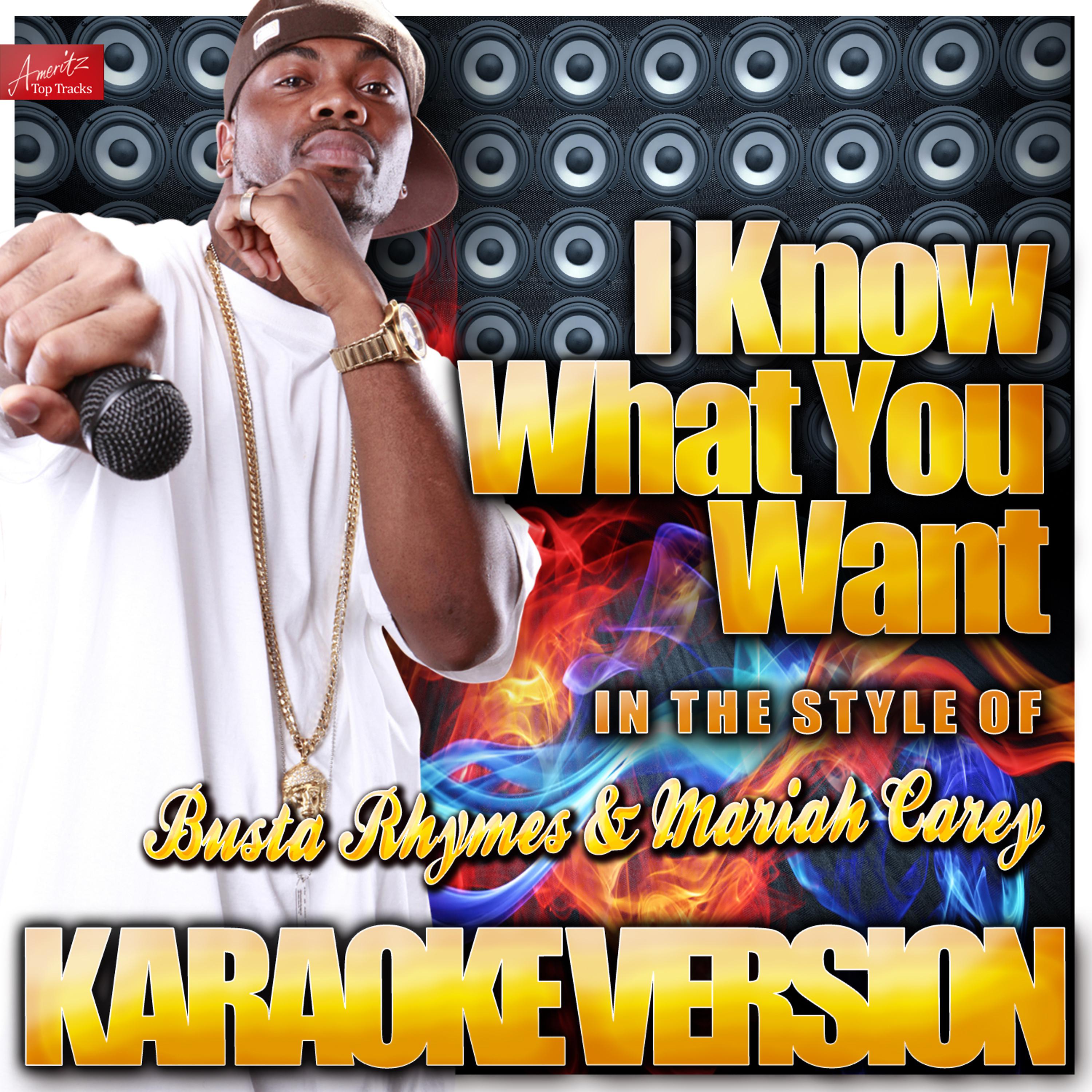 Постер альбома I Know What You Want (In the Style of Busta Rhymes and Mariah Carey) [Karaoke Version]